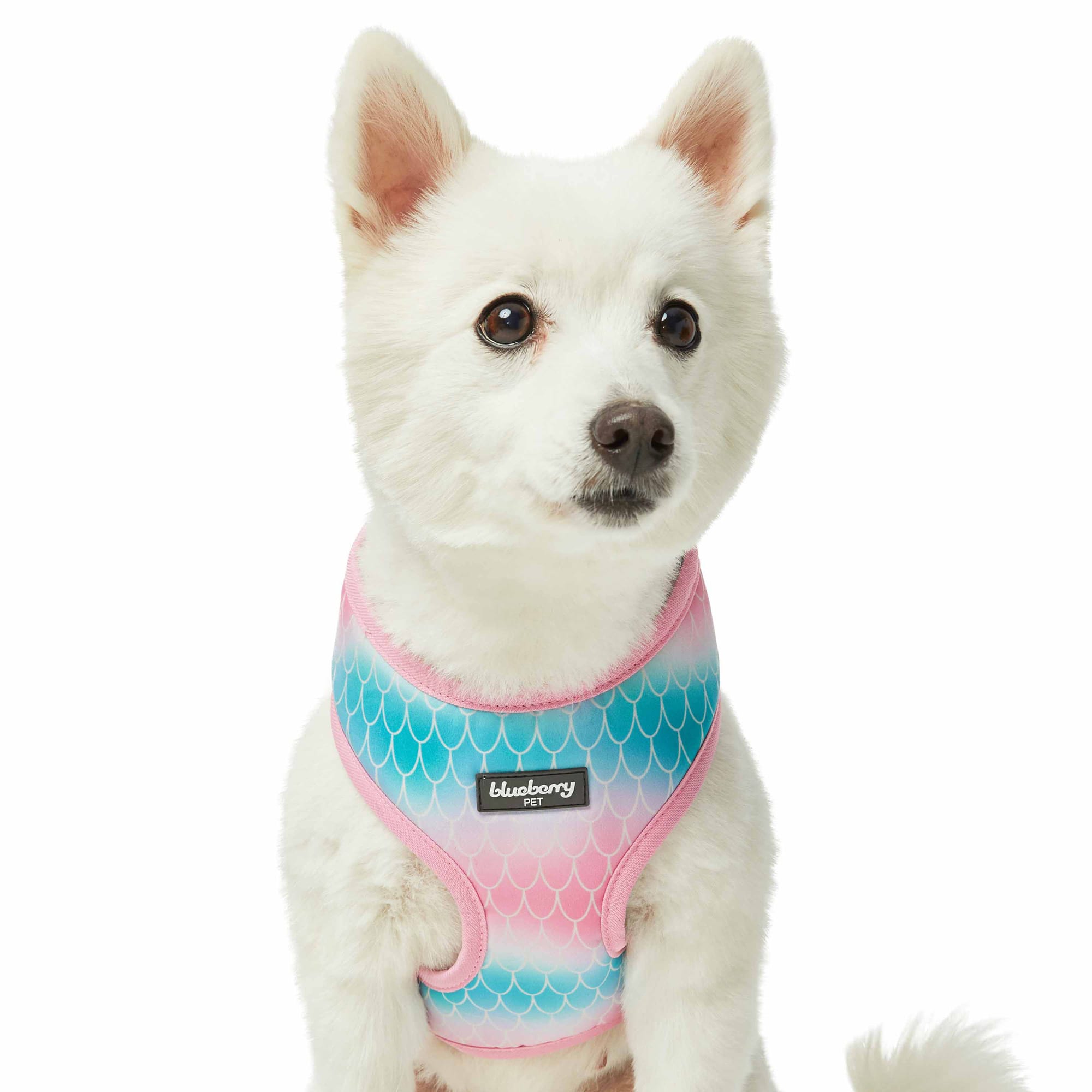 Fish Scale Dog Harness, No Pull, Adjustable Padded Pet Harness