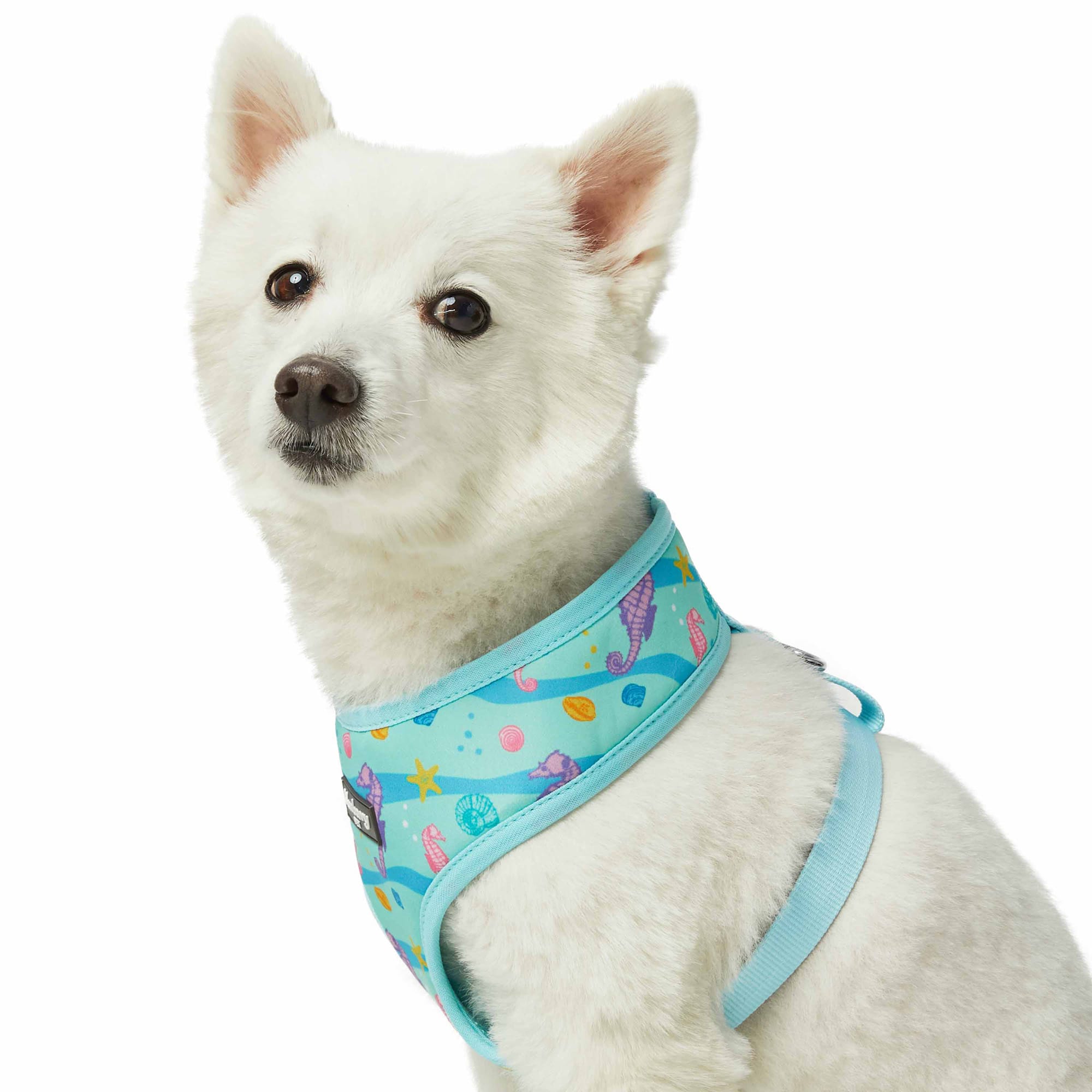 Blueberry pet store mesh dog harness