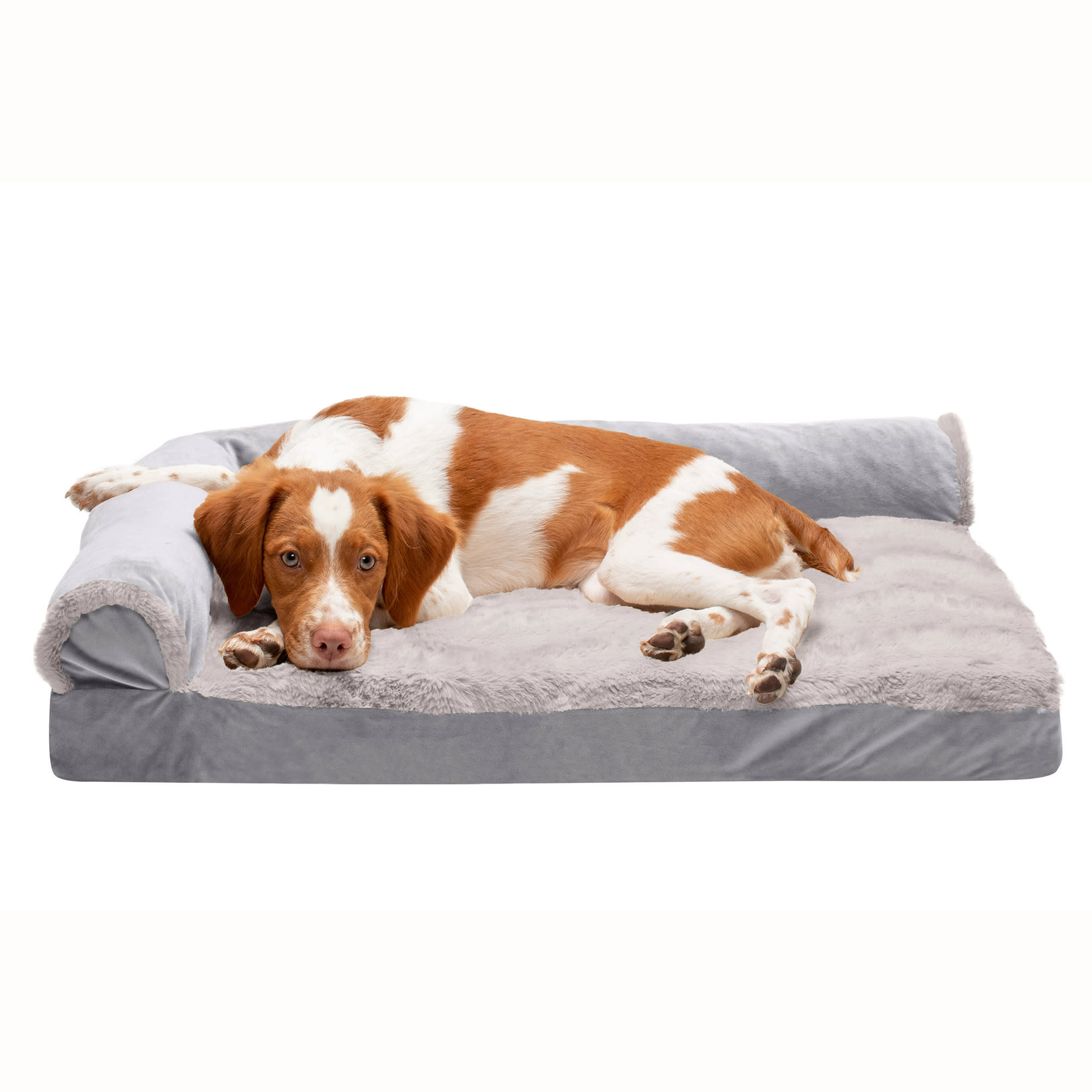 Petco dog beds clearance orthopedic