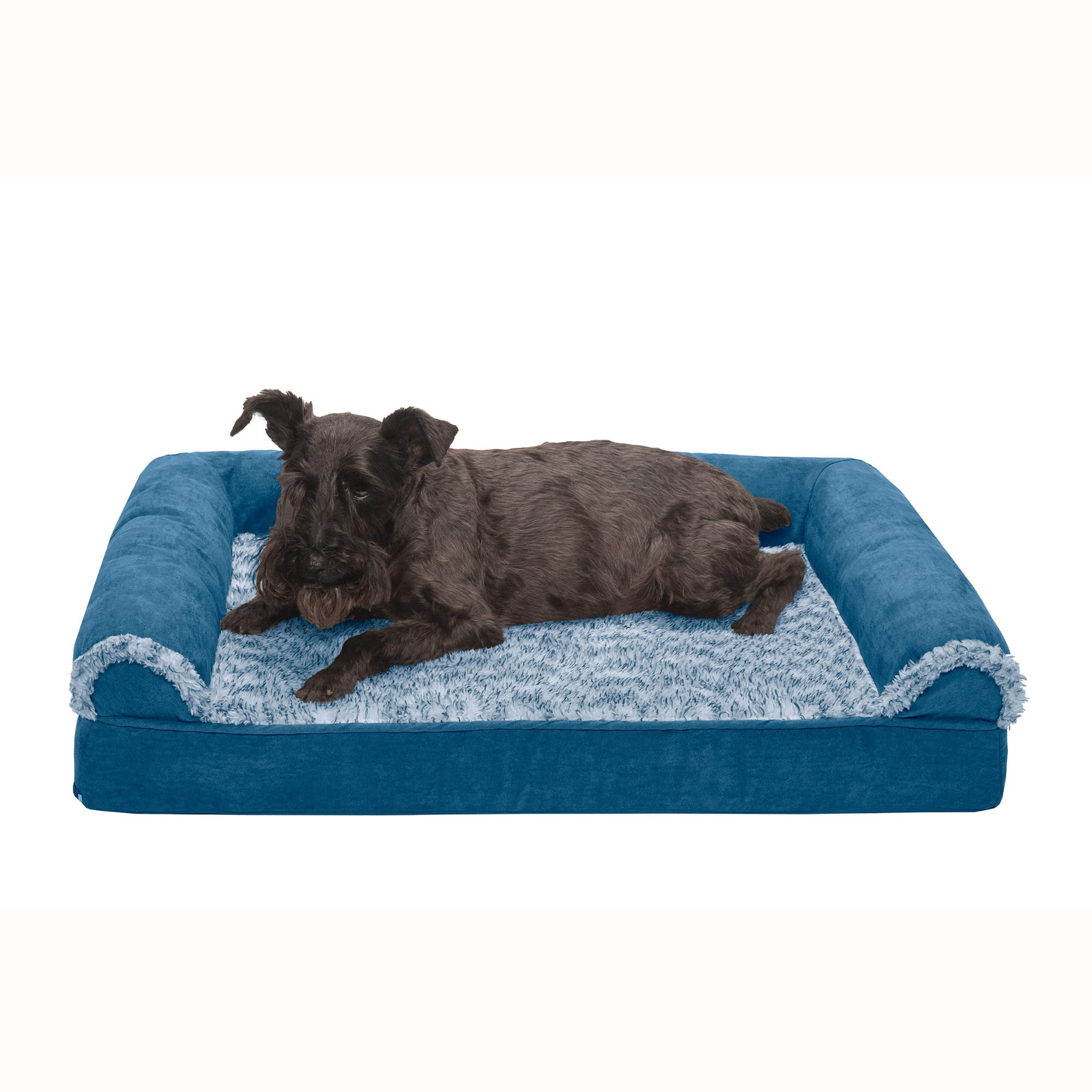 Chew proof hotsell dog bed petco