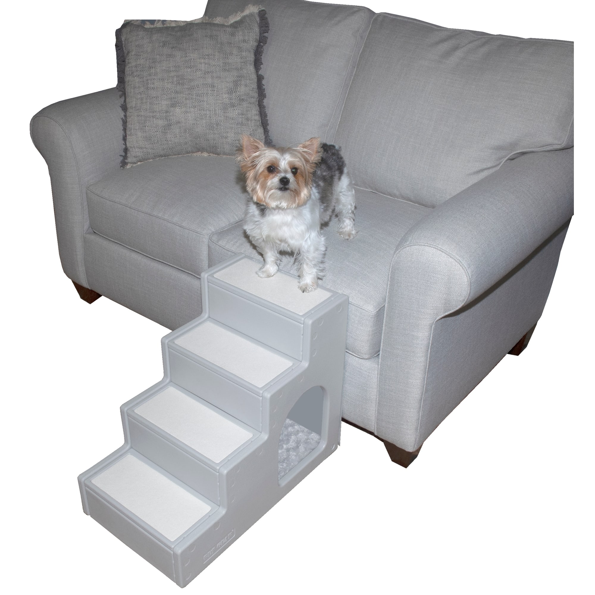 Stairs for dogs clearance petco