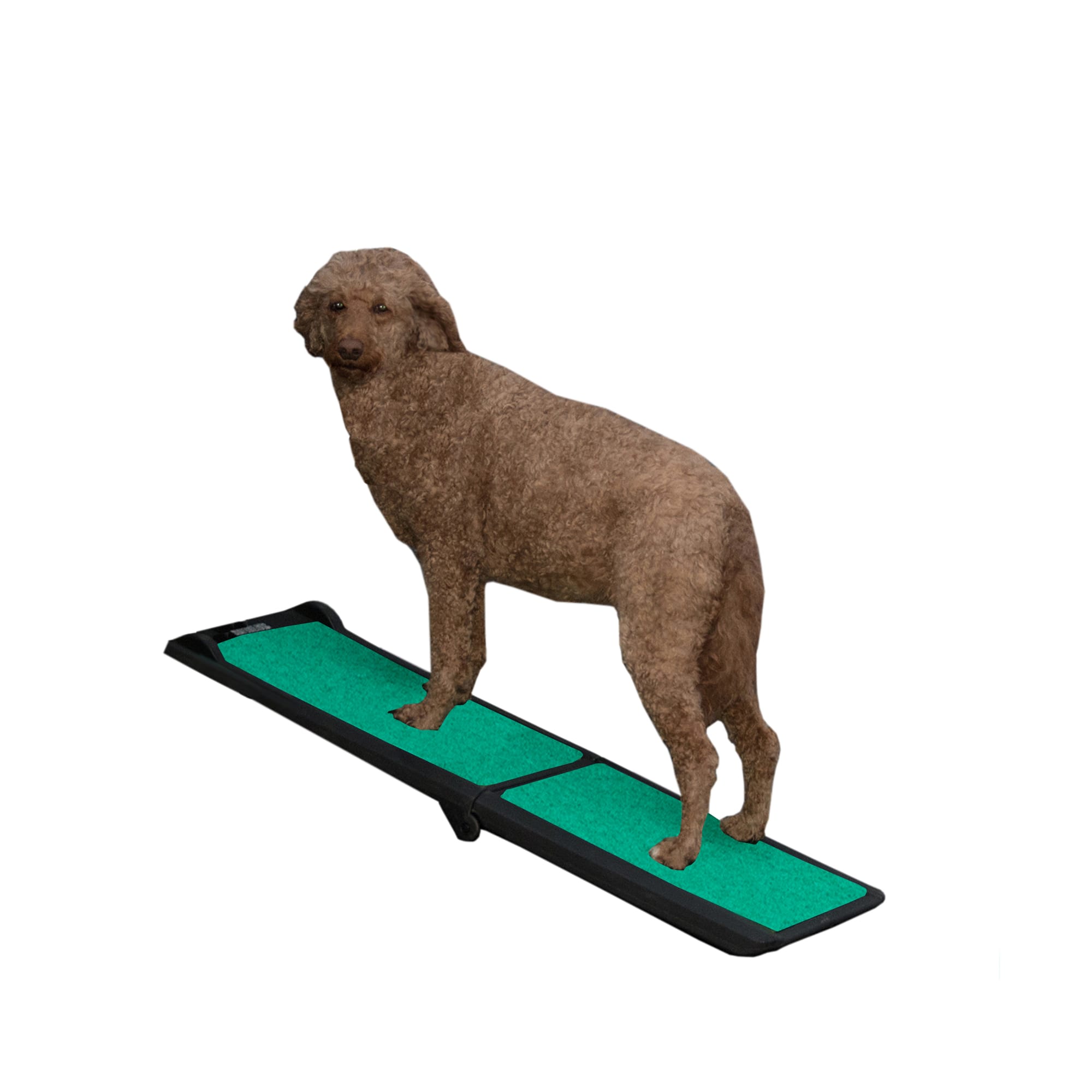 Travel lite tri fold best sale pet ramp