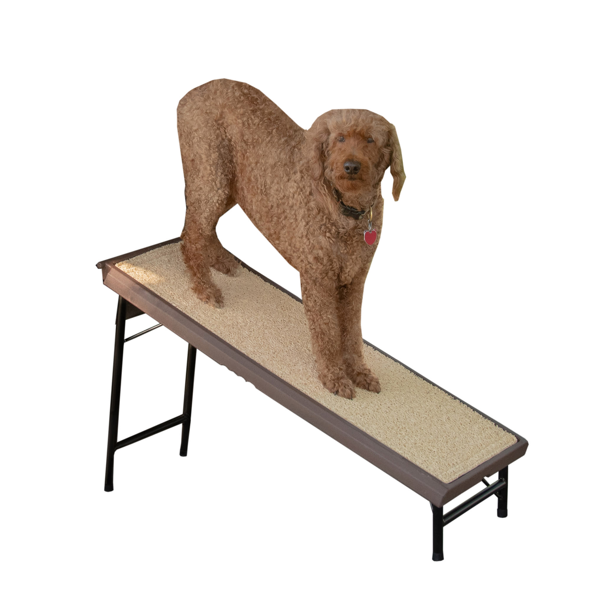 Pet gear hot sale ramp