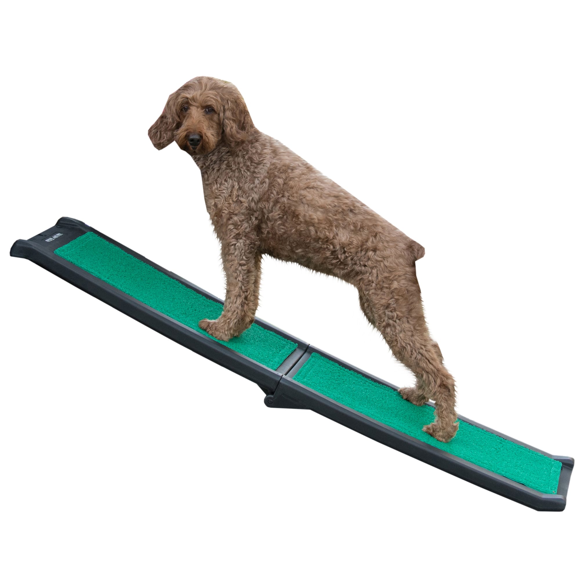 Travel dog clearance ramp