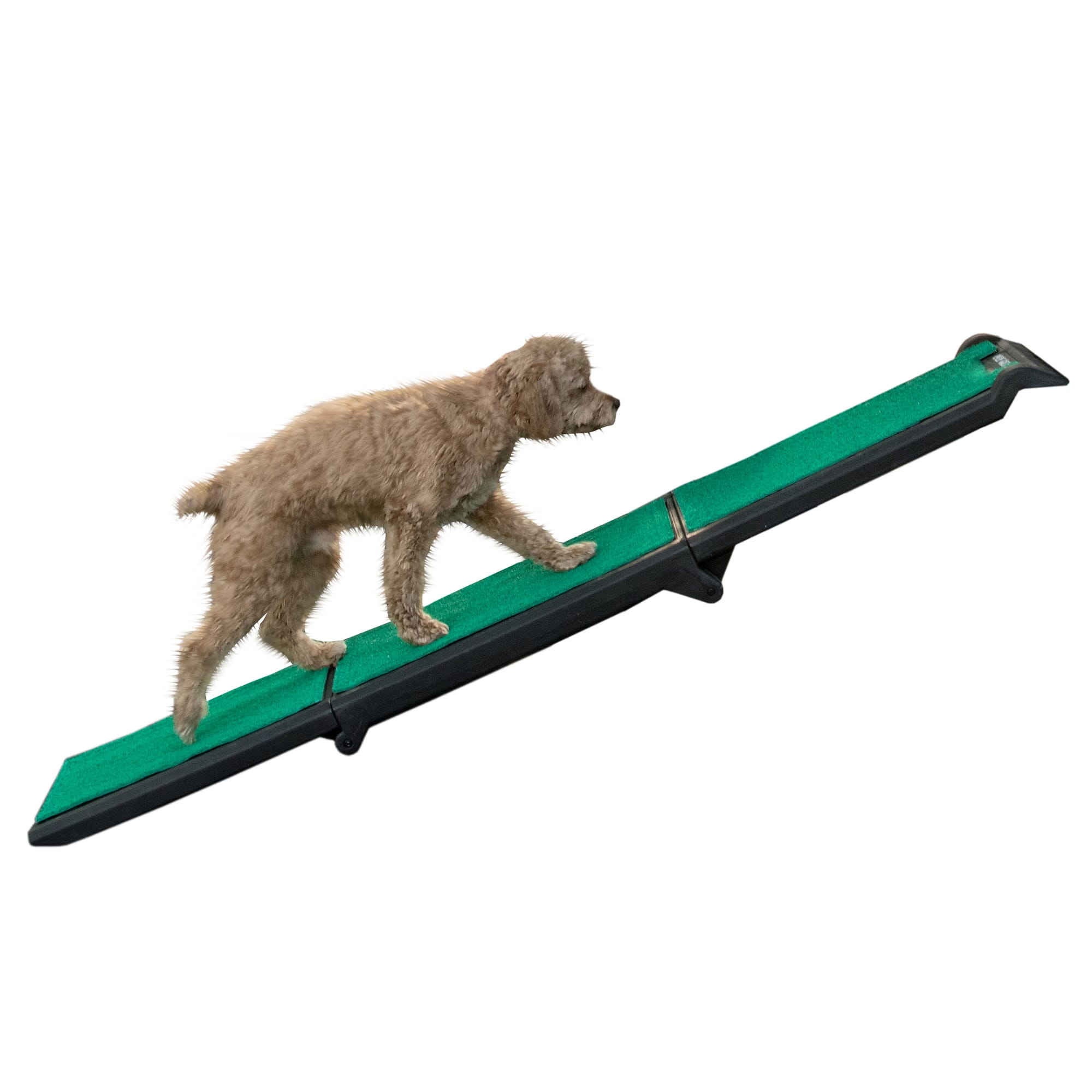 Petco outlet pet ramp