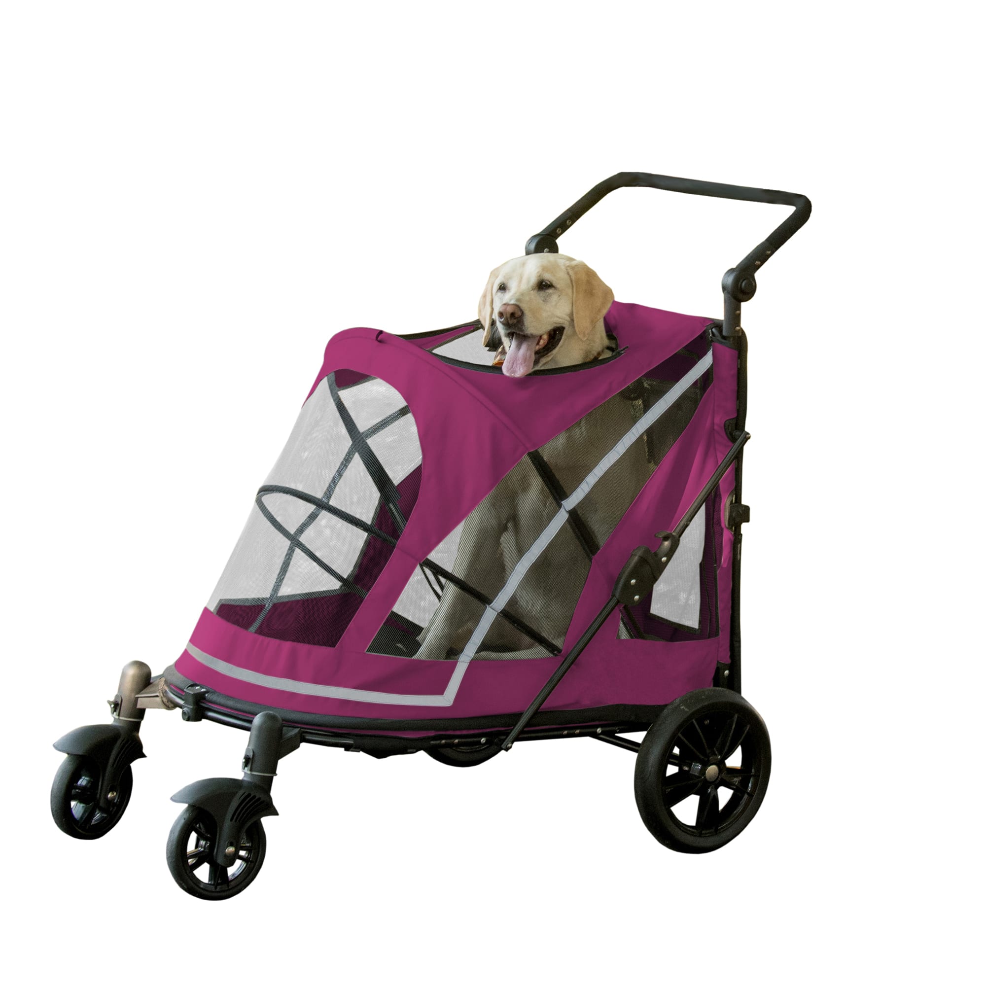 Purple store dog stroller