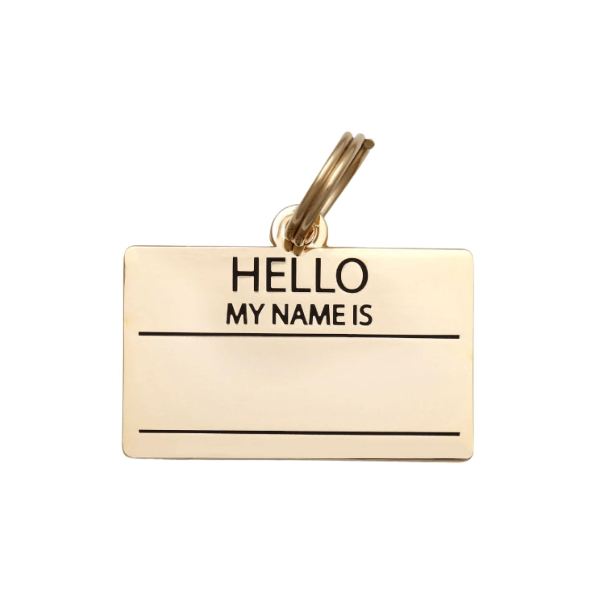 Two Tails Pet Company Gold Hello My Name is Blank Pet ID Tag Petco