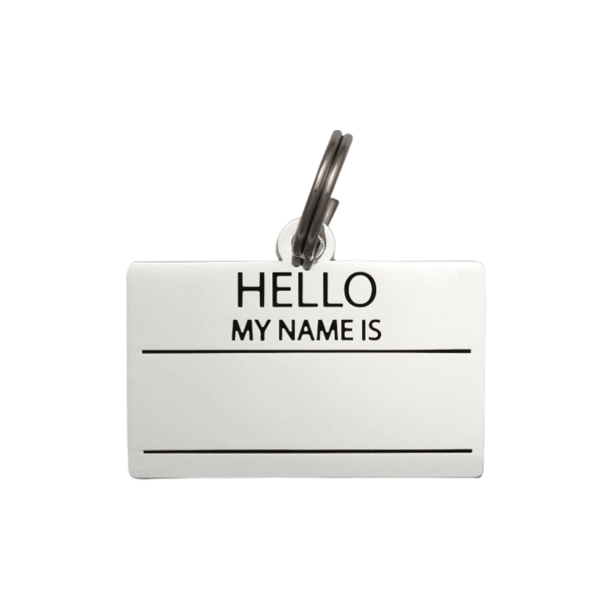 Two Tails Pet Company Silver Hello My Name is Blank Pet ID Tag Petco