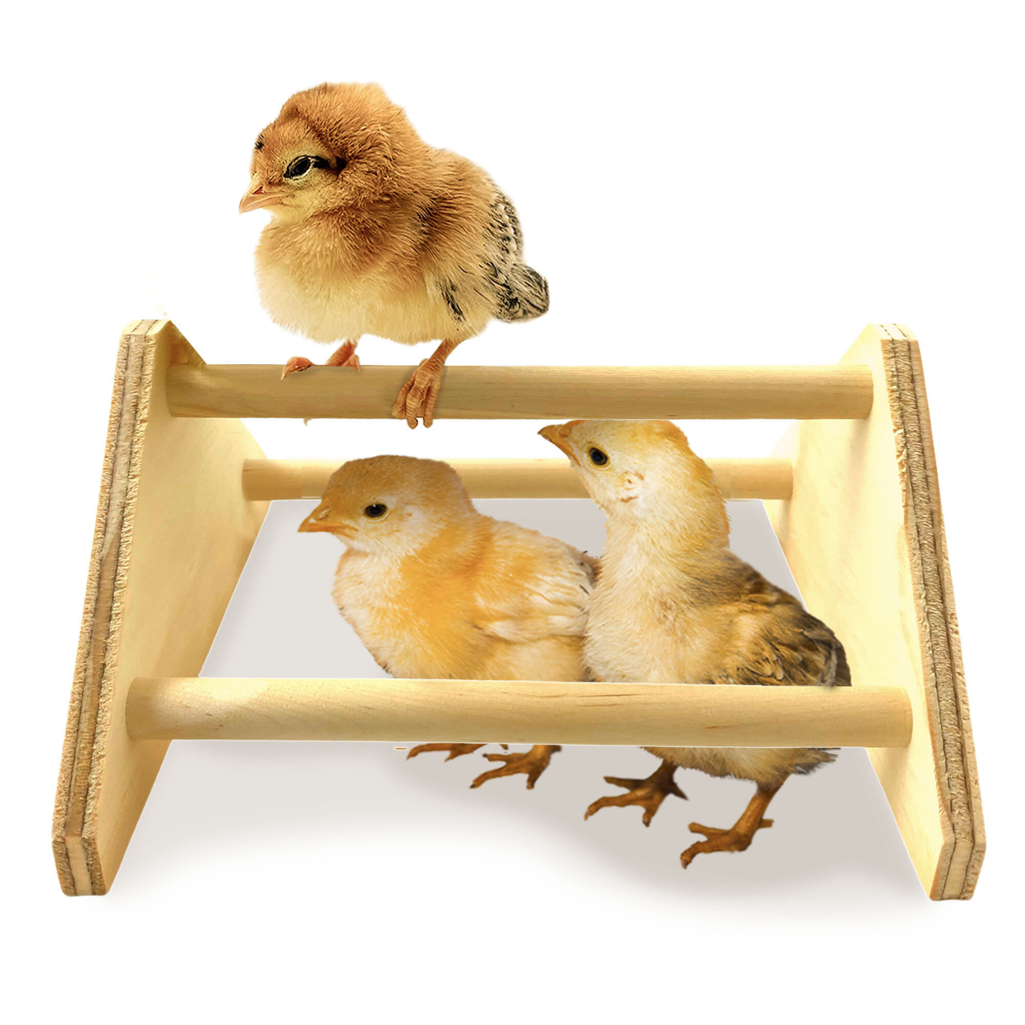 Backyard Barnyard Mini Chick Bird Perch, Pack of 2 | Petco