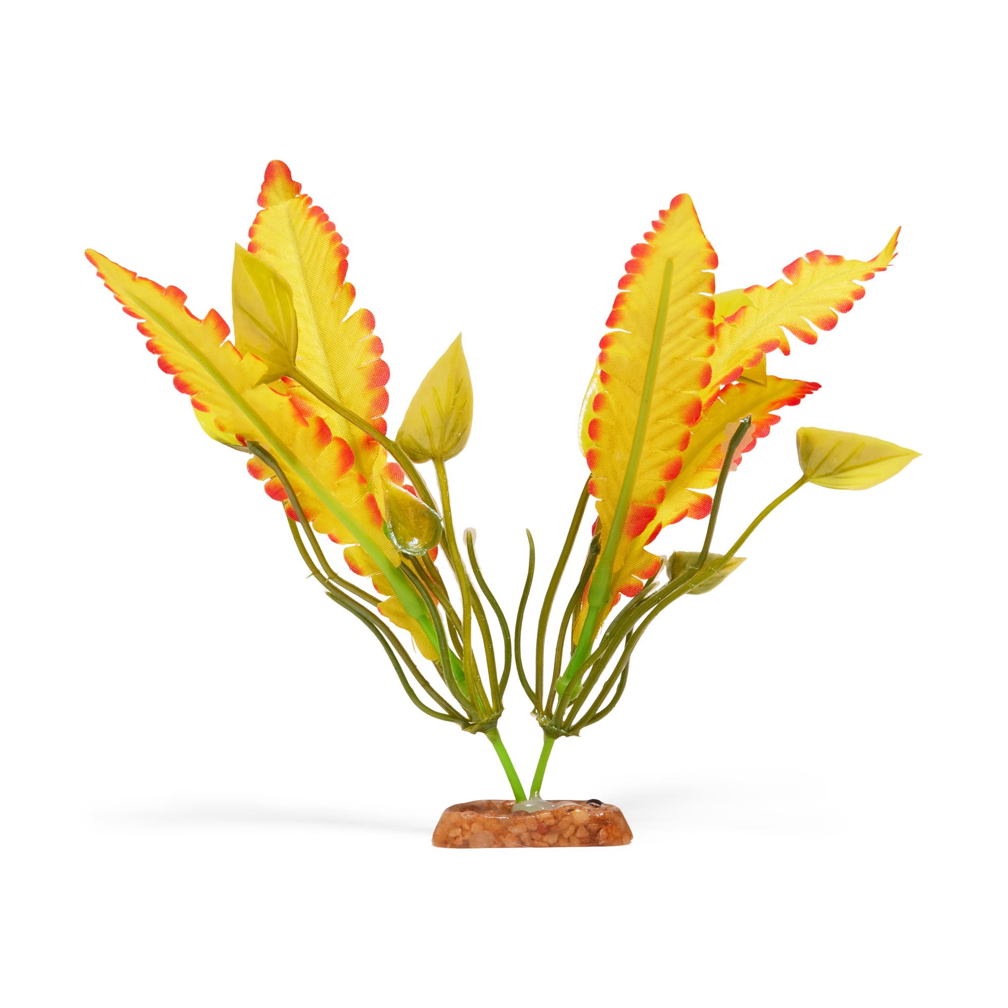A closer look at Small Aquatic Decorative