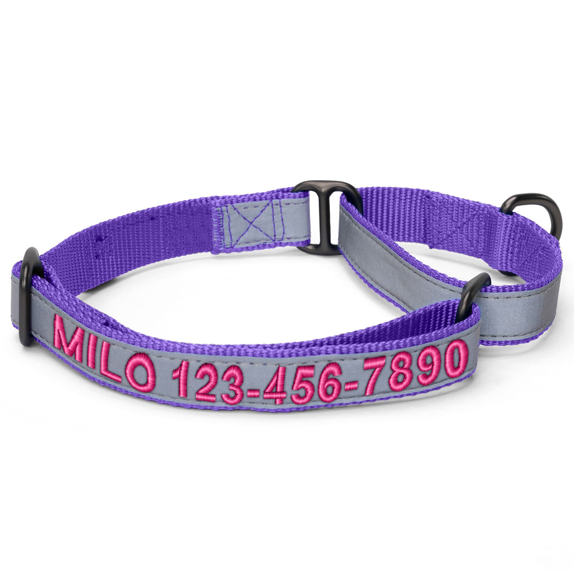 Pawtitas Purple Personalized Reflective Martingale Dog Collar, Small