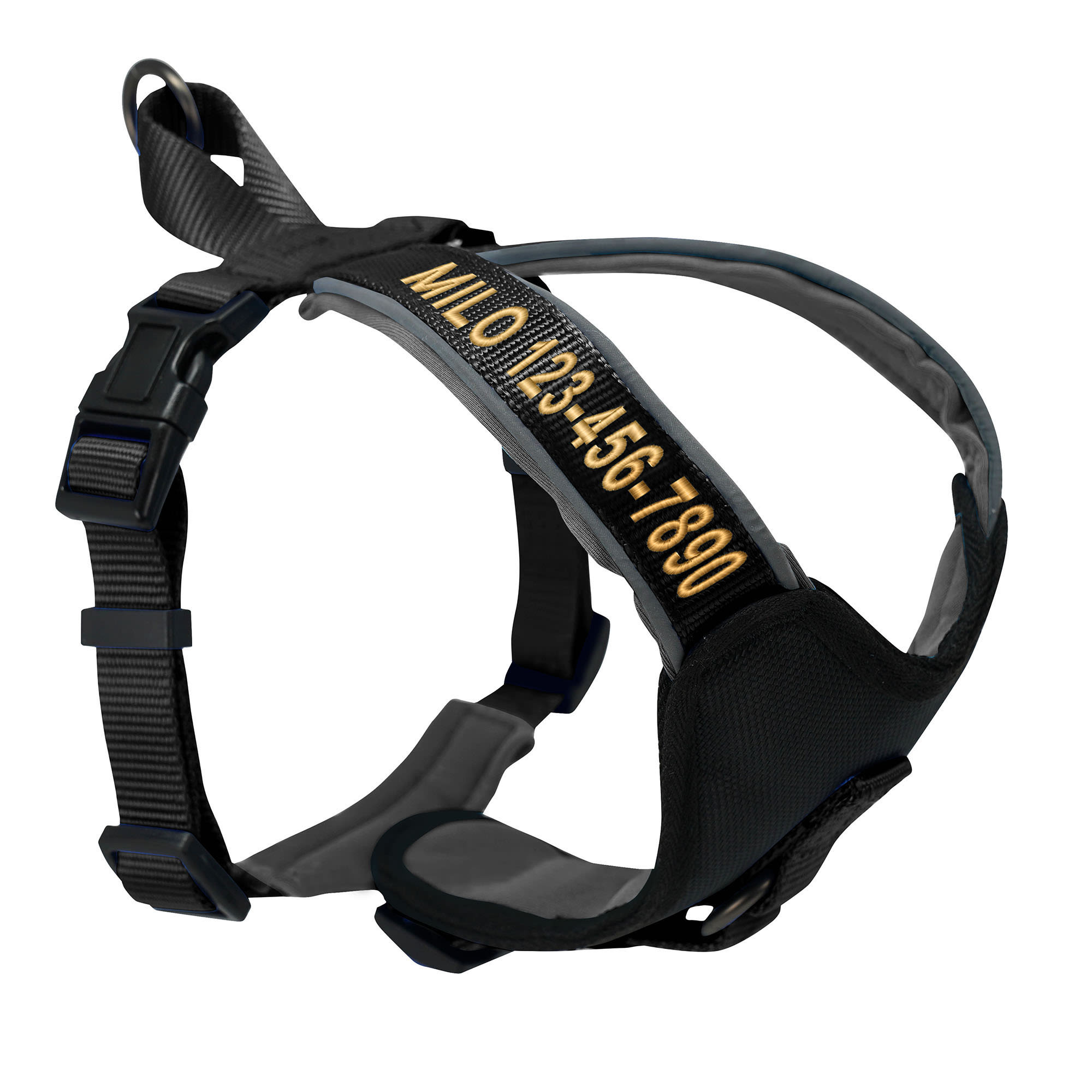 Pawtitas Black Personalized Padded Dog Harness, Large Petco