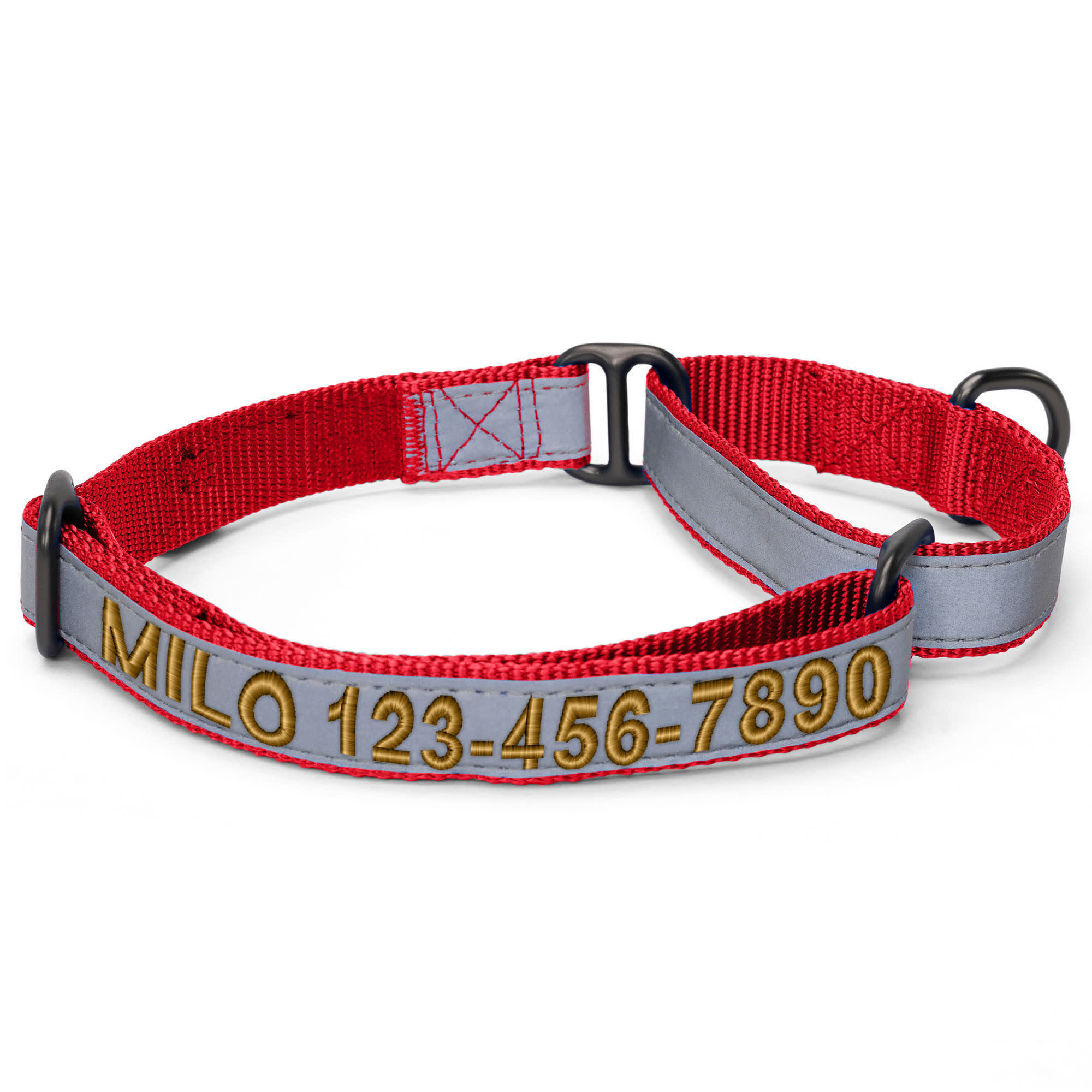 Pawtitas Red Personalized Reflective Martingale Dog Collar Small