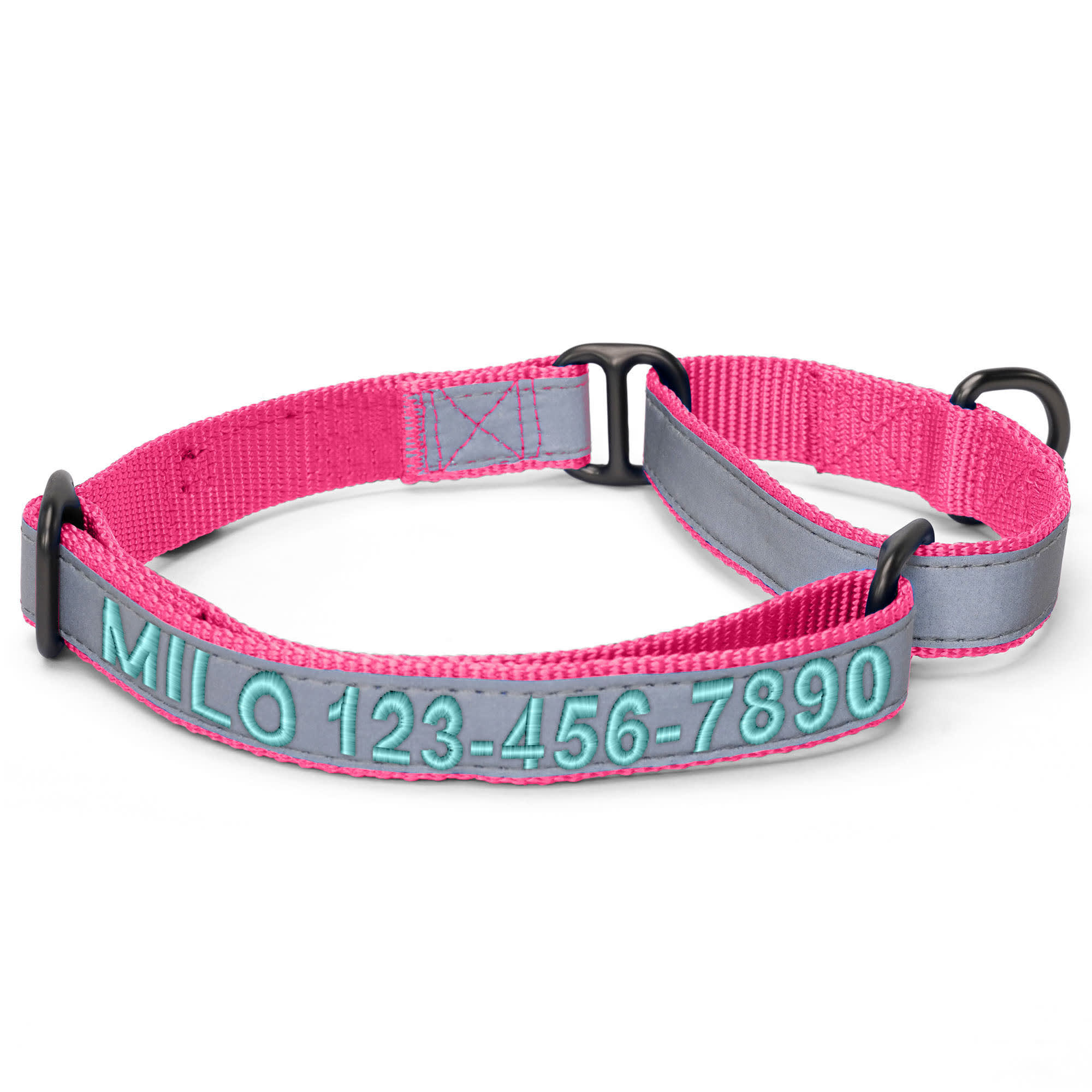 Pawtitas Personalized Reflective Martingale Dog Collar, Pink, Medium Petco