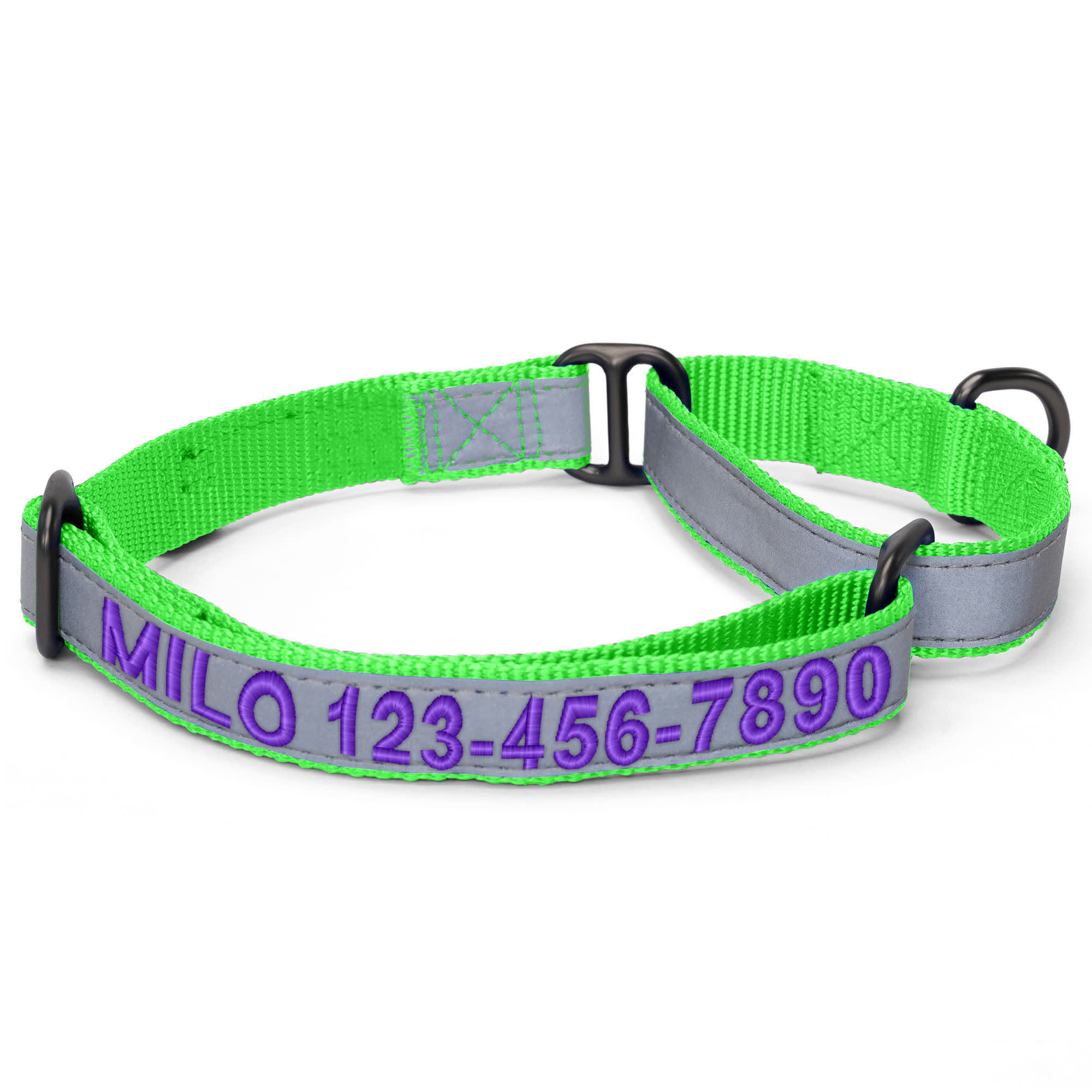 Pawtitas Personalized Reflective Martingale Dog Collar, Green, Medium