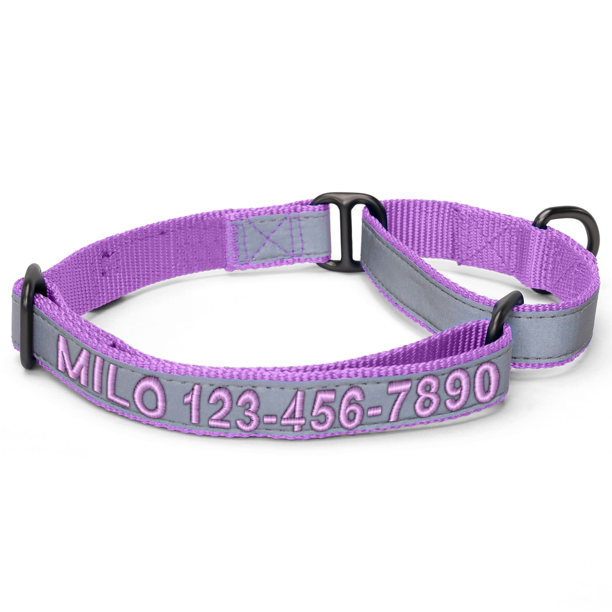 Pawtitas Personalized Reflective Martingale Dog Collar, Orchid, Medium