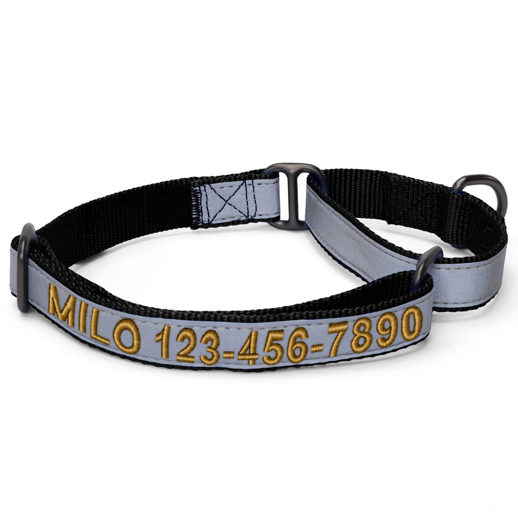 Pawtitas Personalized Reflective Martingale Dog Collar, Black, Large