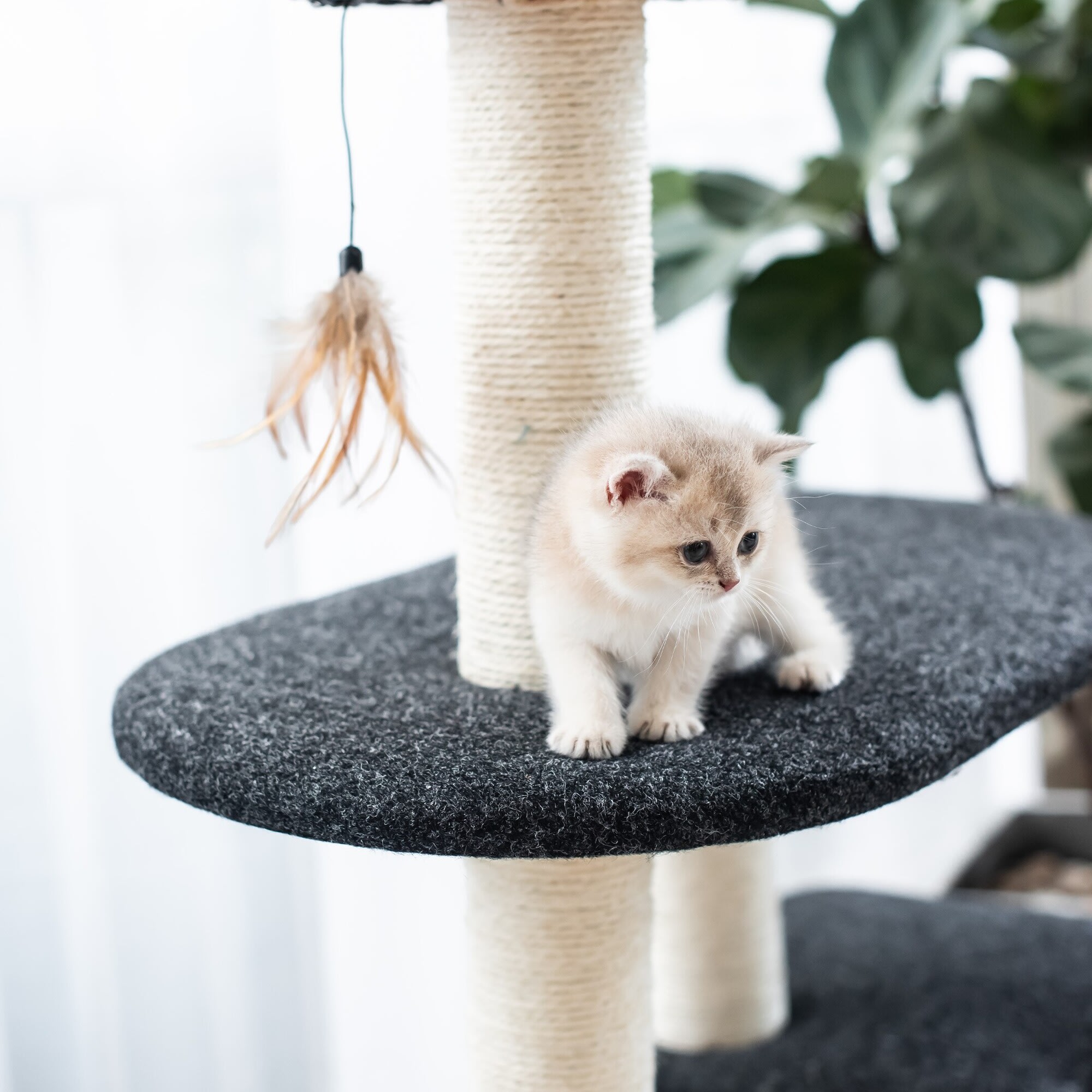 Petpals ace cat tree best sale