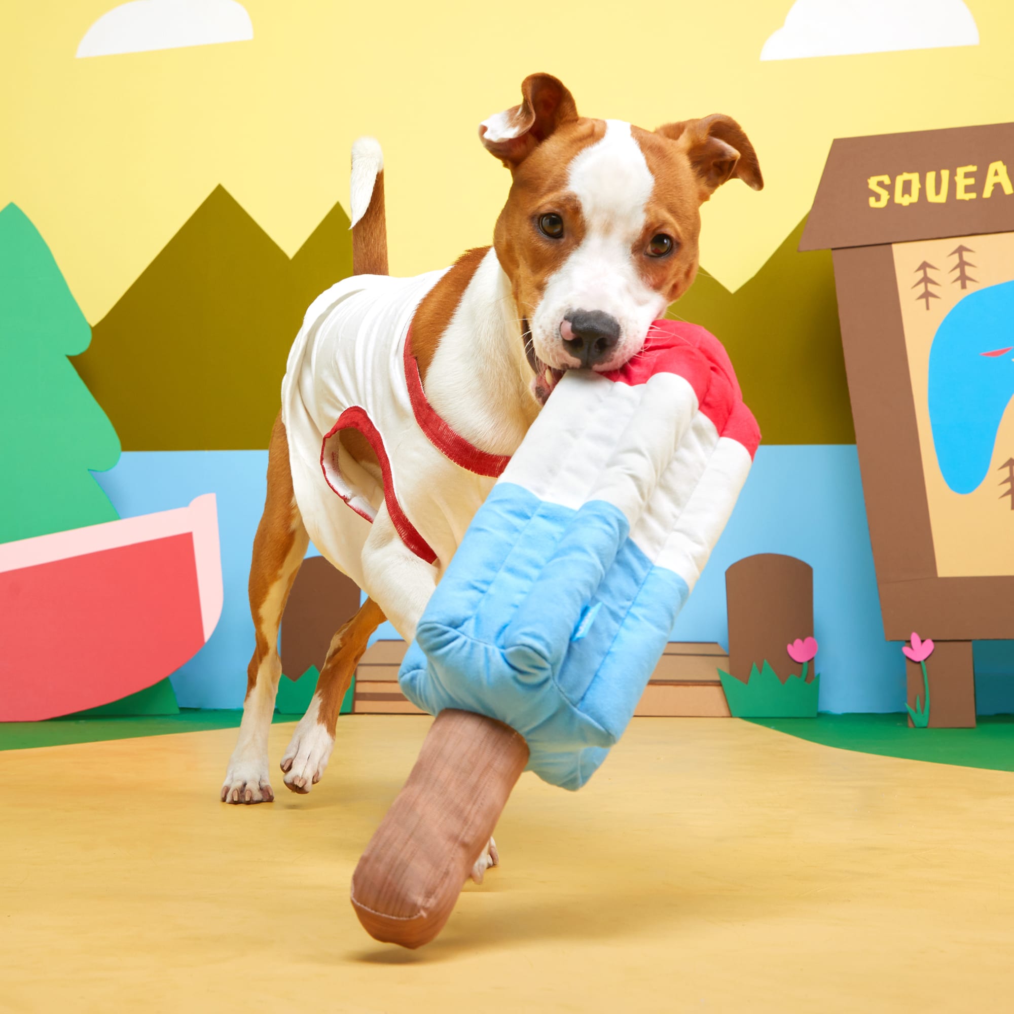 BARK Rocket Pupsicle Plush Dog Toy, On Sale