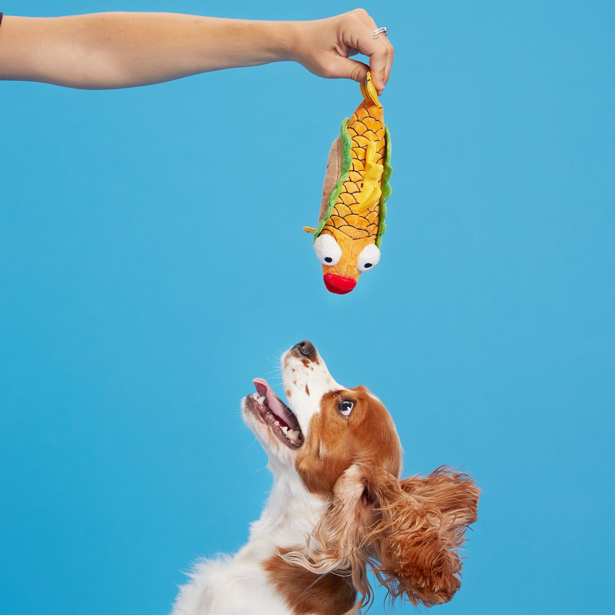 Plush Food Taco Dog Toy Stuffed Chew Toys for Small Medium Large Dog Pets