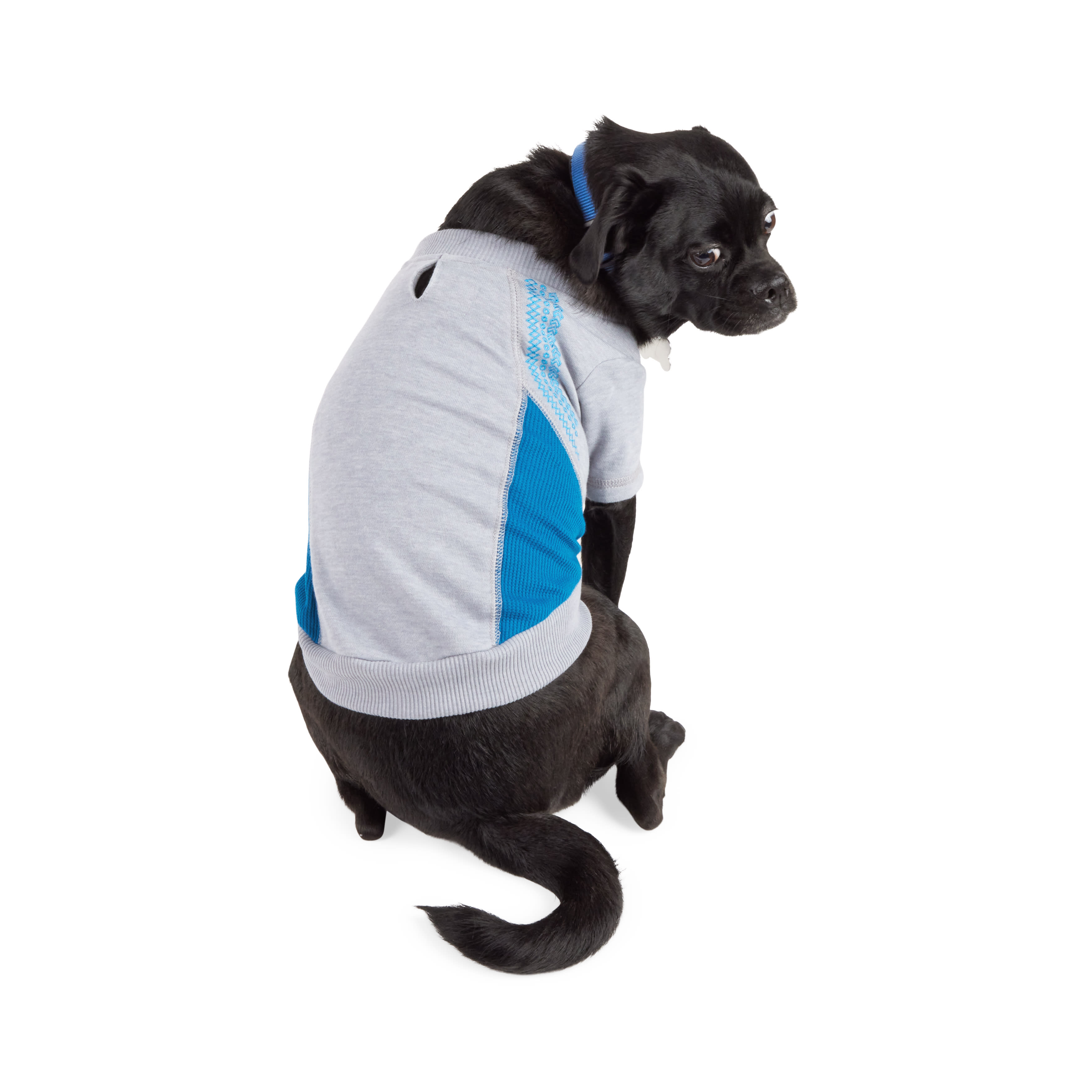 YOULY Embroidered Crewneck Sweater for Dogs X Small Blue Petco