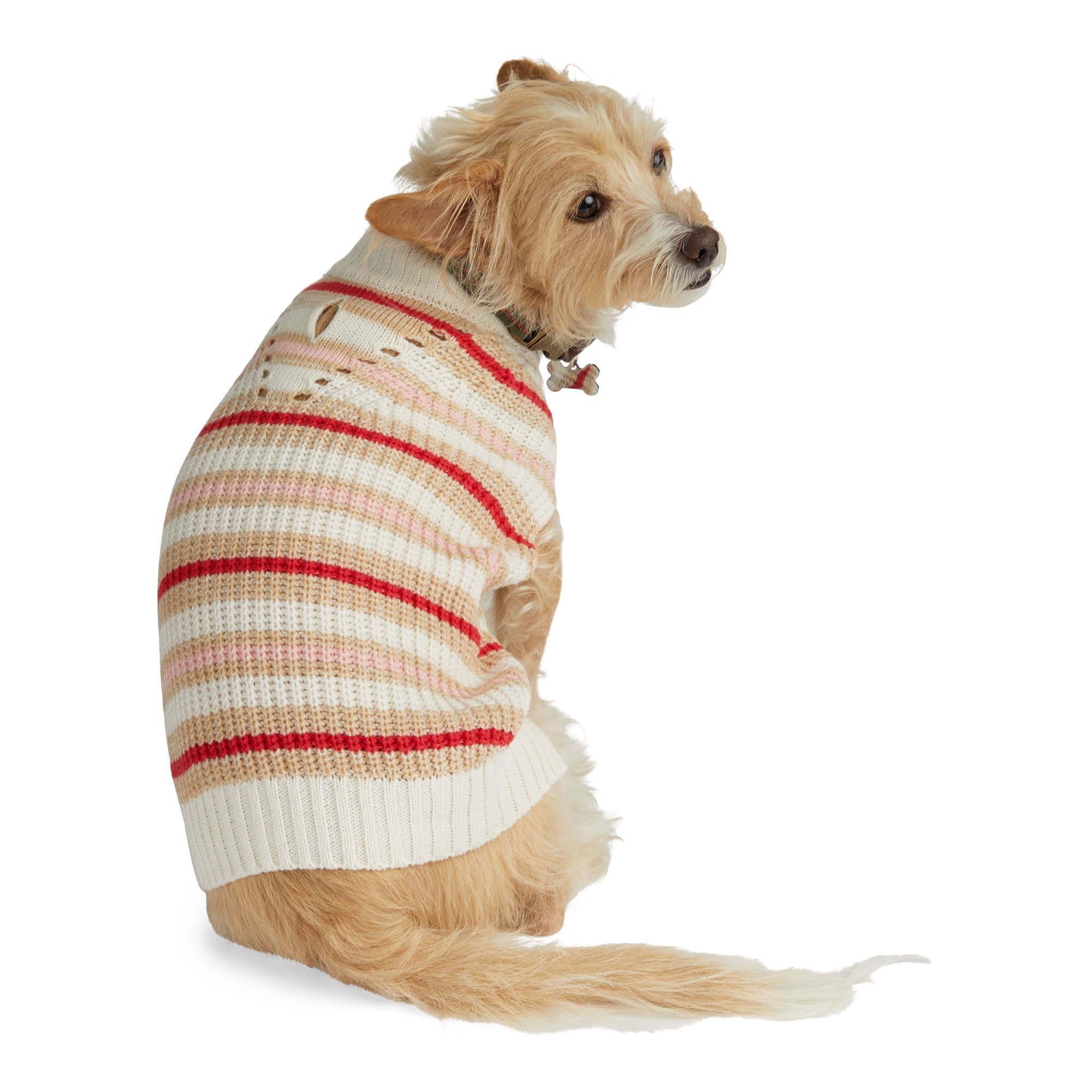 YOULY Striped Sweater for Dogs, XSmall, Orange Petco
