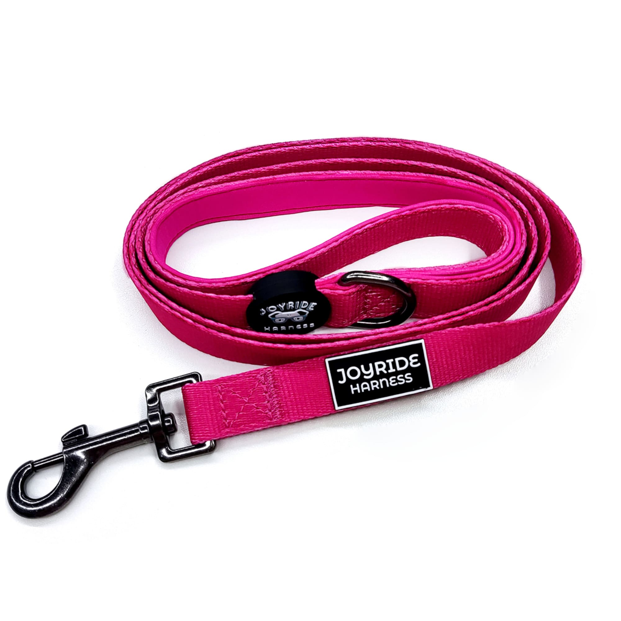 Julius clearance k9 lead