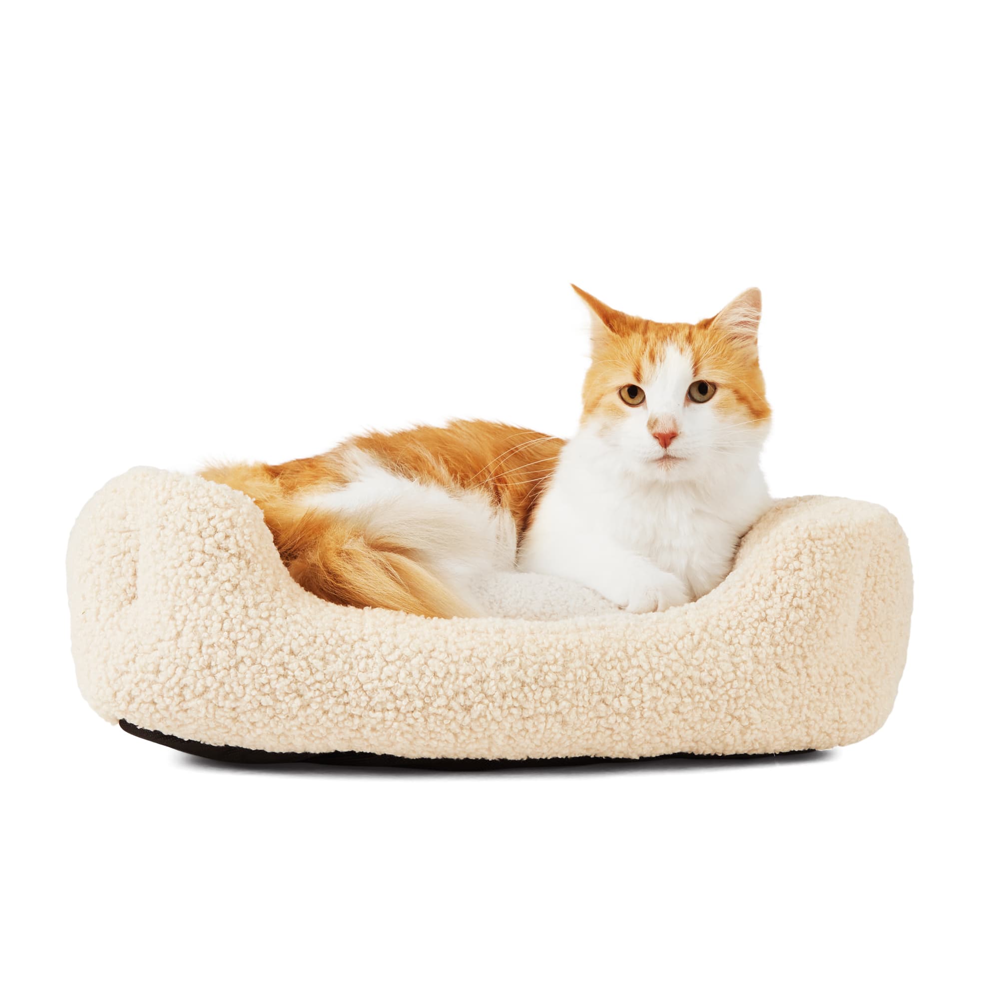 Cat 2024 comfort bed