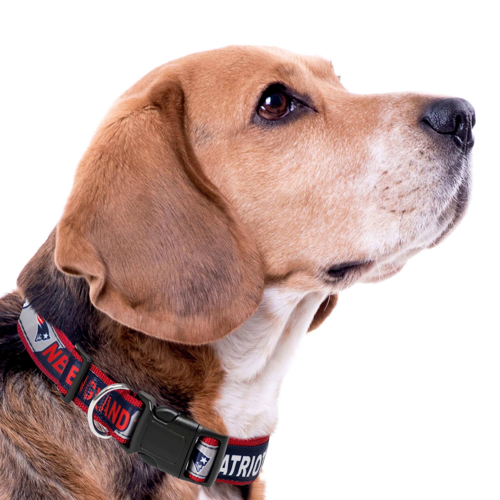 Patriots dog collars & leashes hotsell