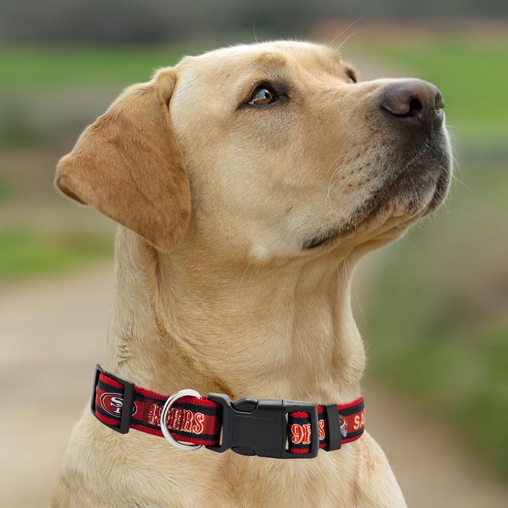 Pets First Las Vegas Raiders Satin Dog Collar, Small