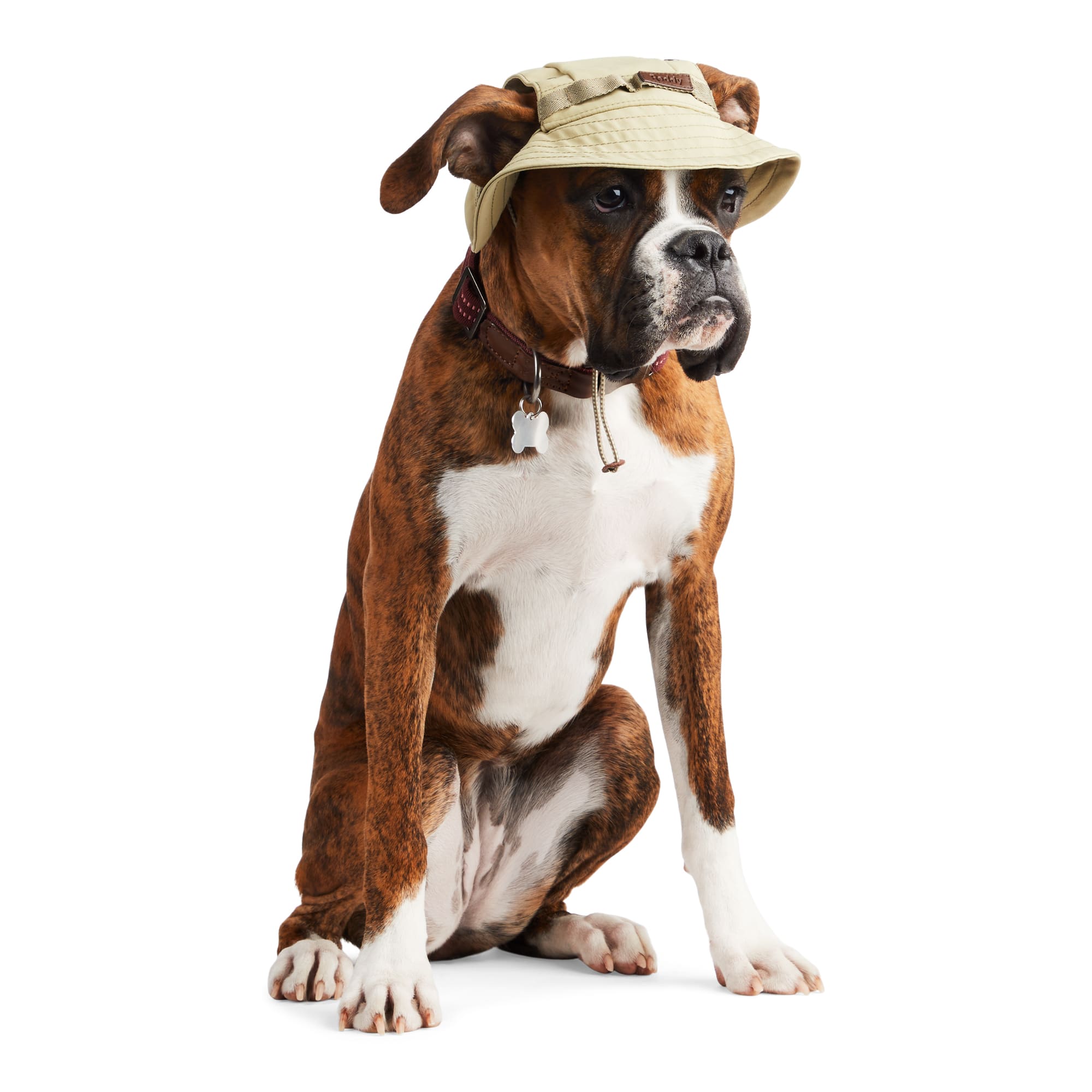 Reddy Bucket Hat for Dogs, Olive, Large/X-Large | Petco