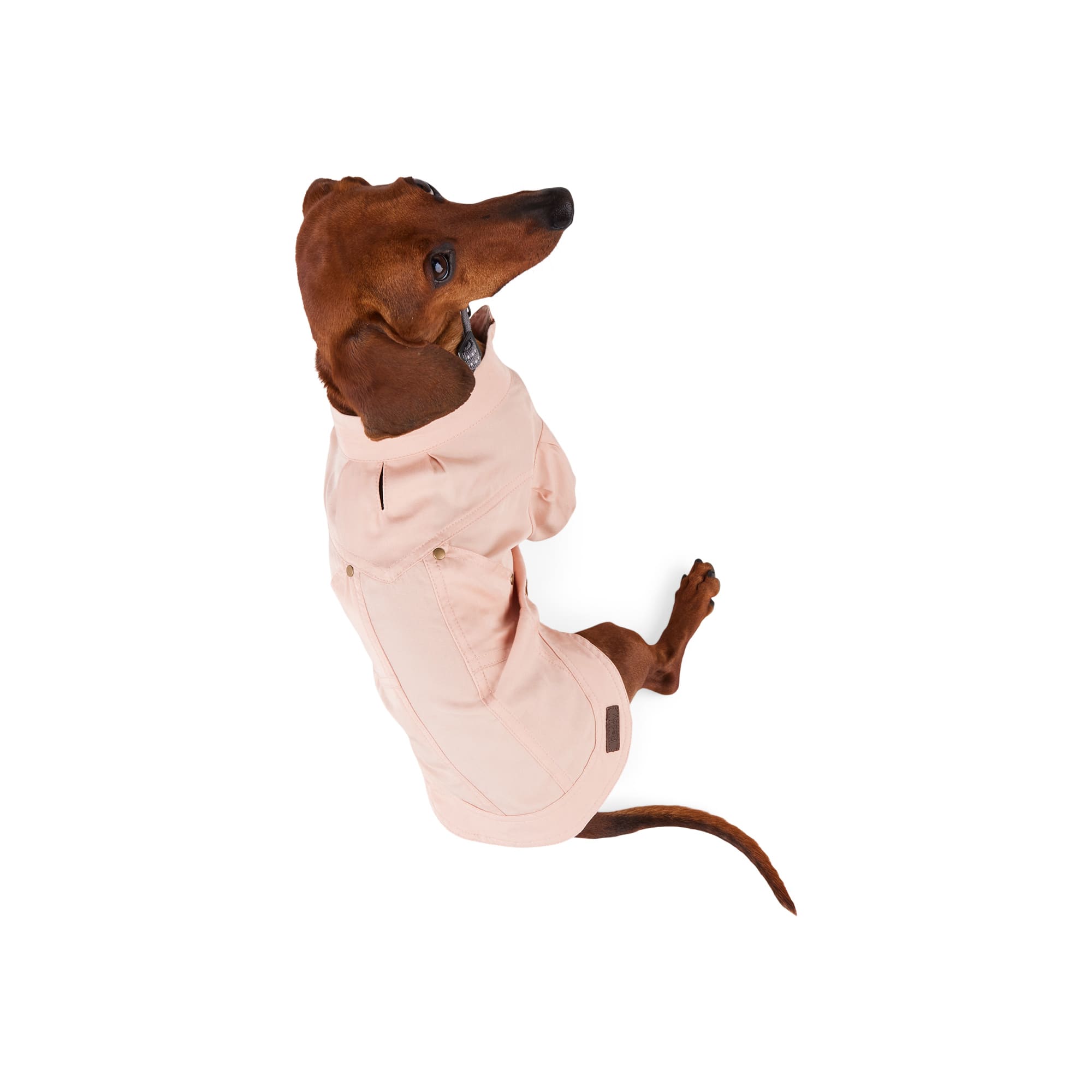 Reddy Blush Pleated Dog Shirt for XSmall Breeds