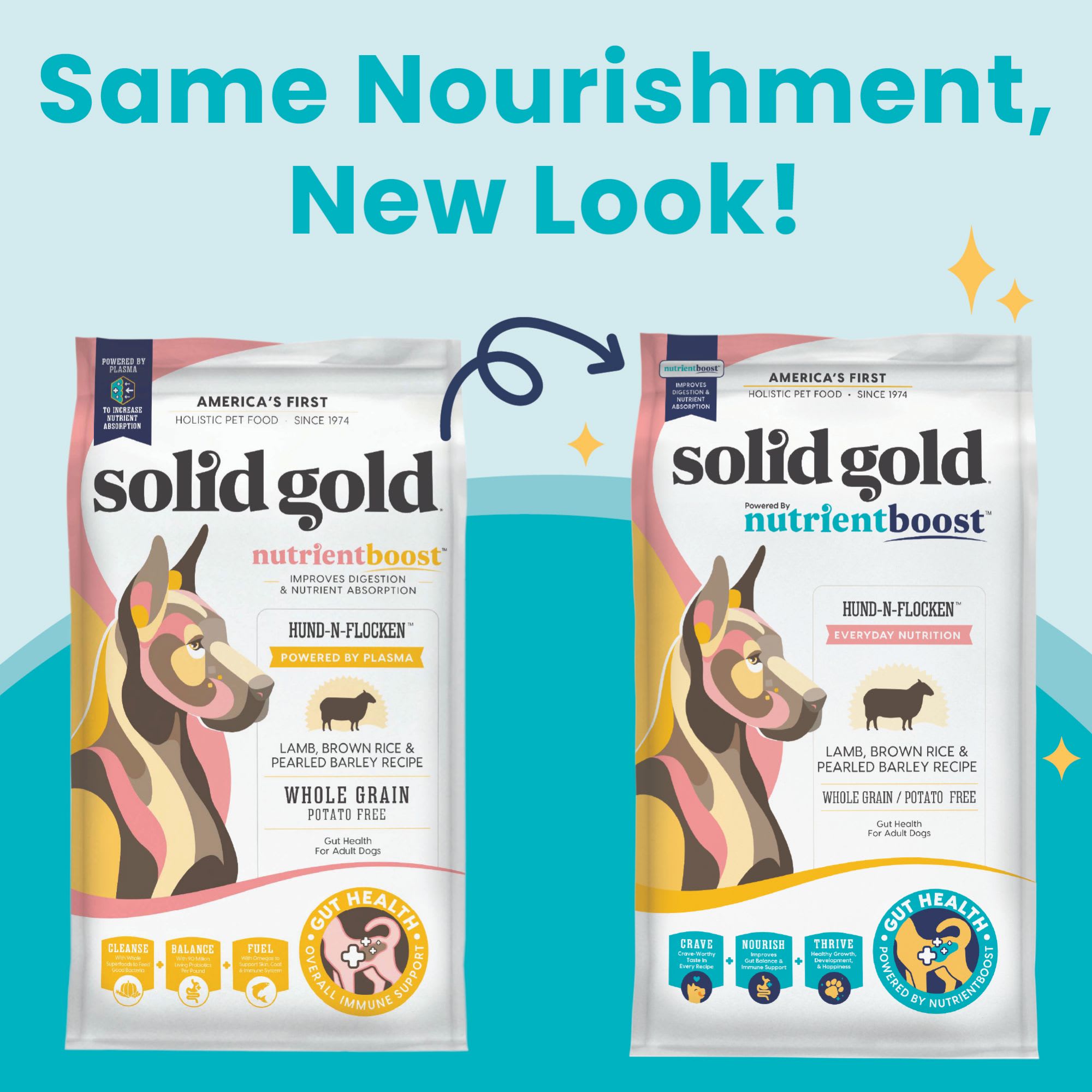 Dry Dog Pet Food Solid Gold Holistique Blendz Solid Gold