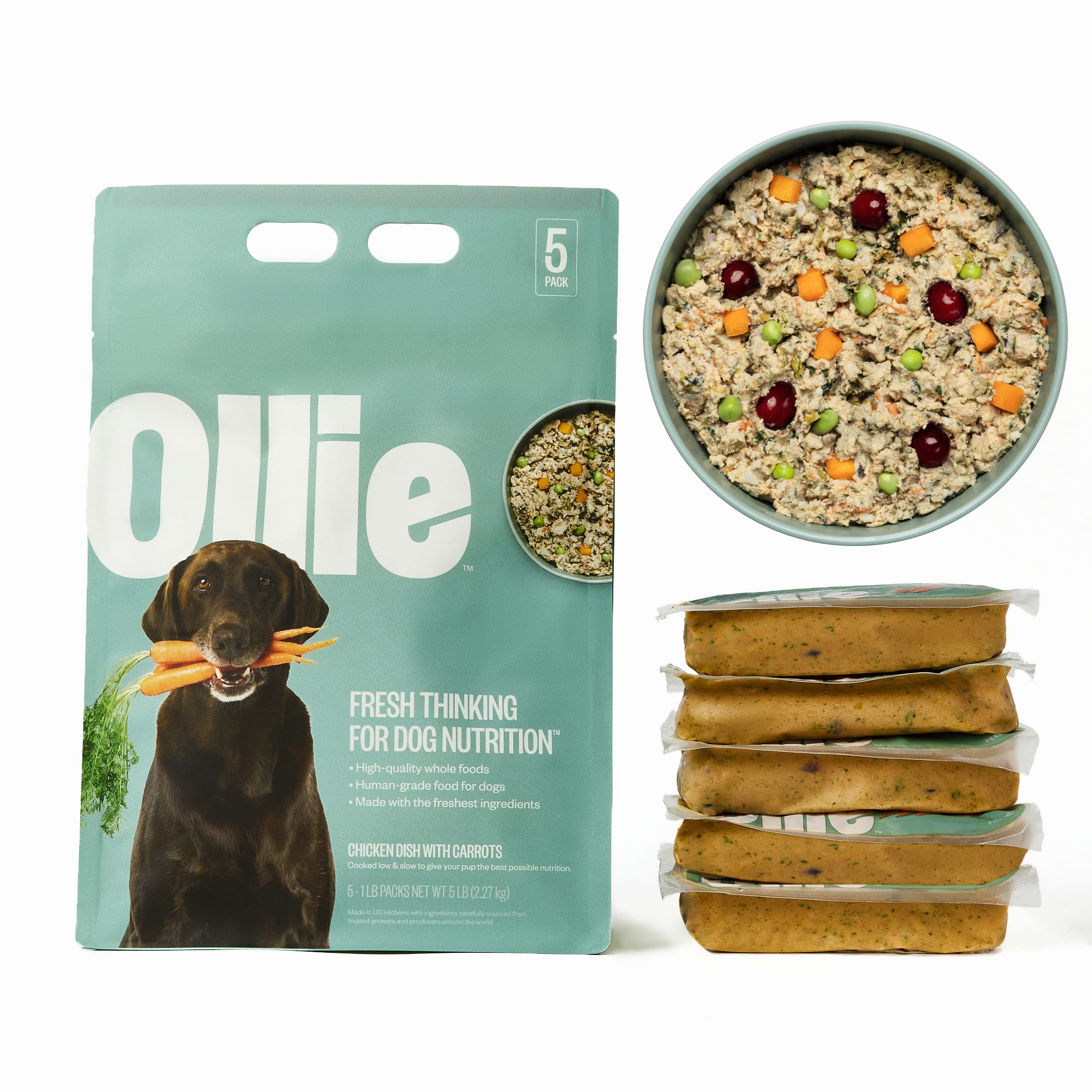 Ollie shop food dog