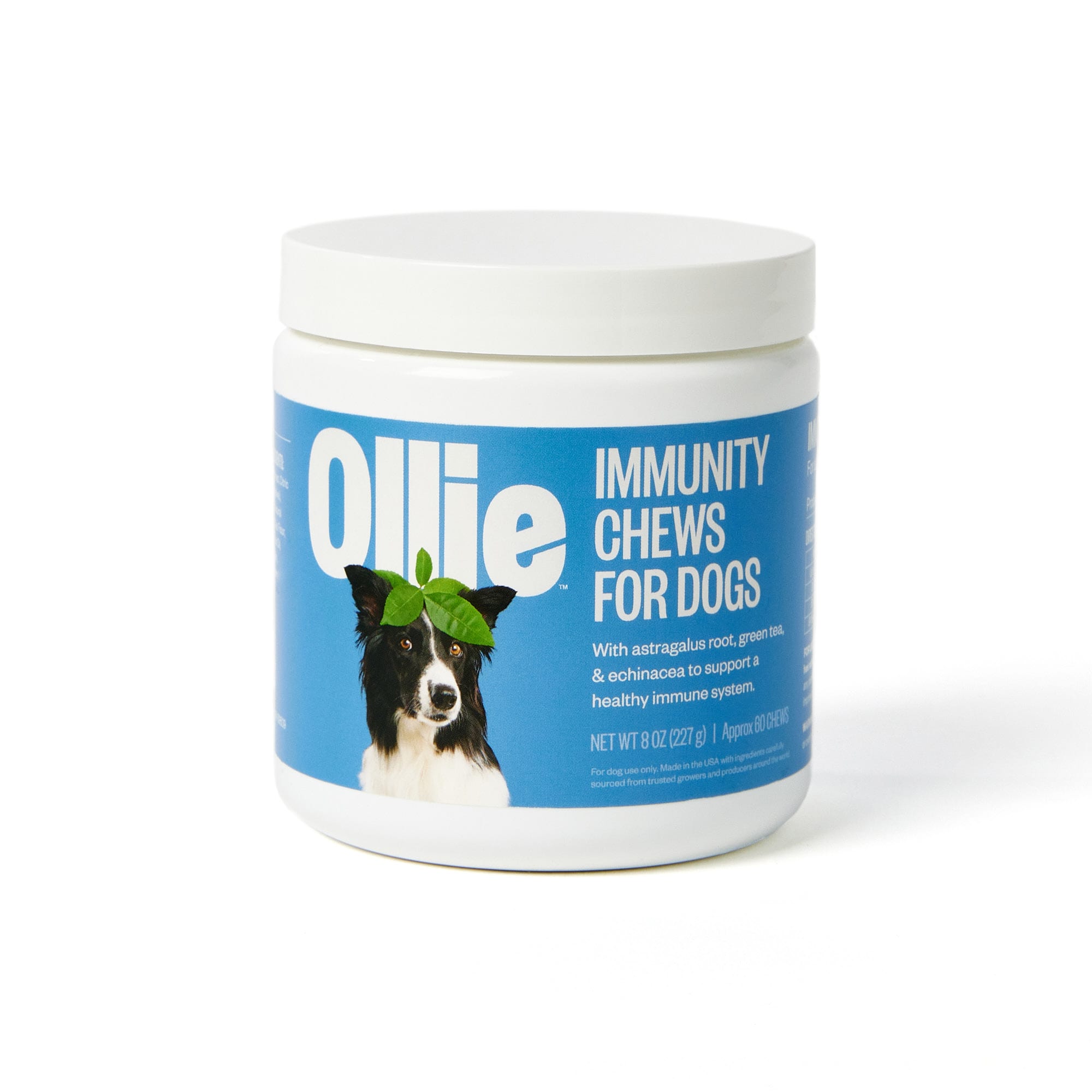 Ollie Immunity Chews Dog Supplements 8 oz. Count of 60 Petco