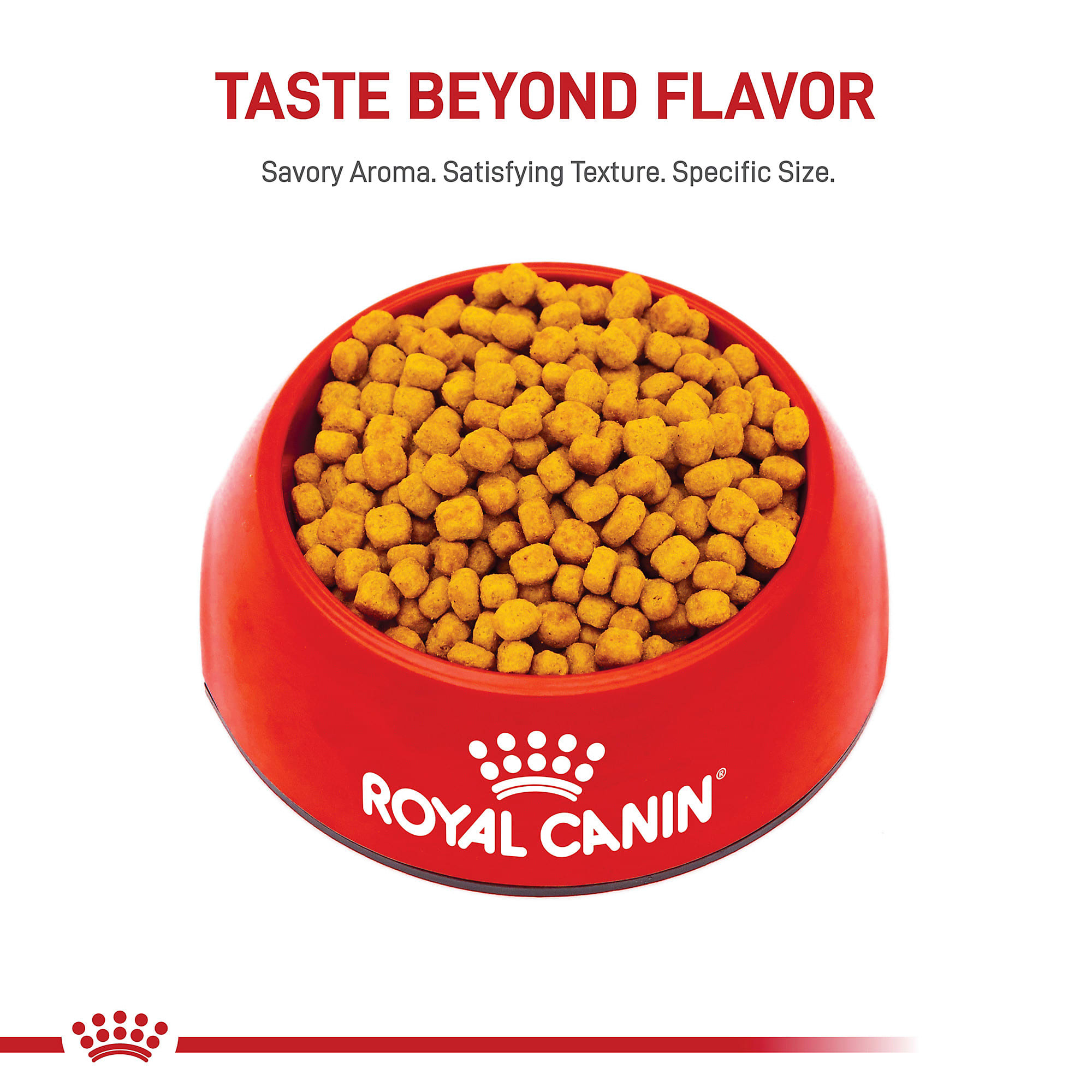 Royal Canin Feline Health Nutrition Indoor 7+ Mature Dry Cat Food, 5.5 lbs.  | Petco