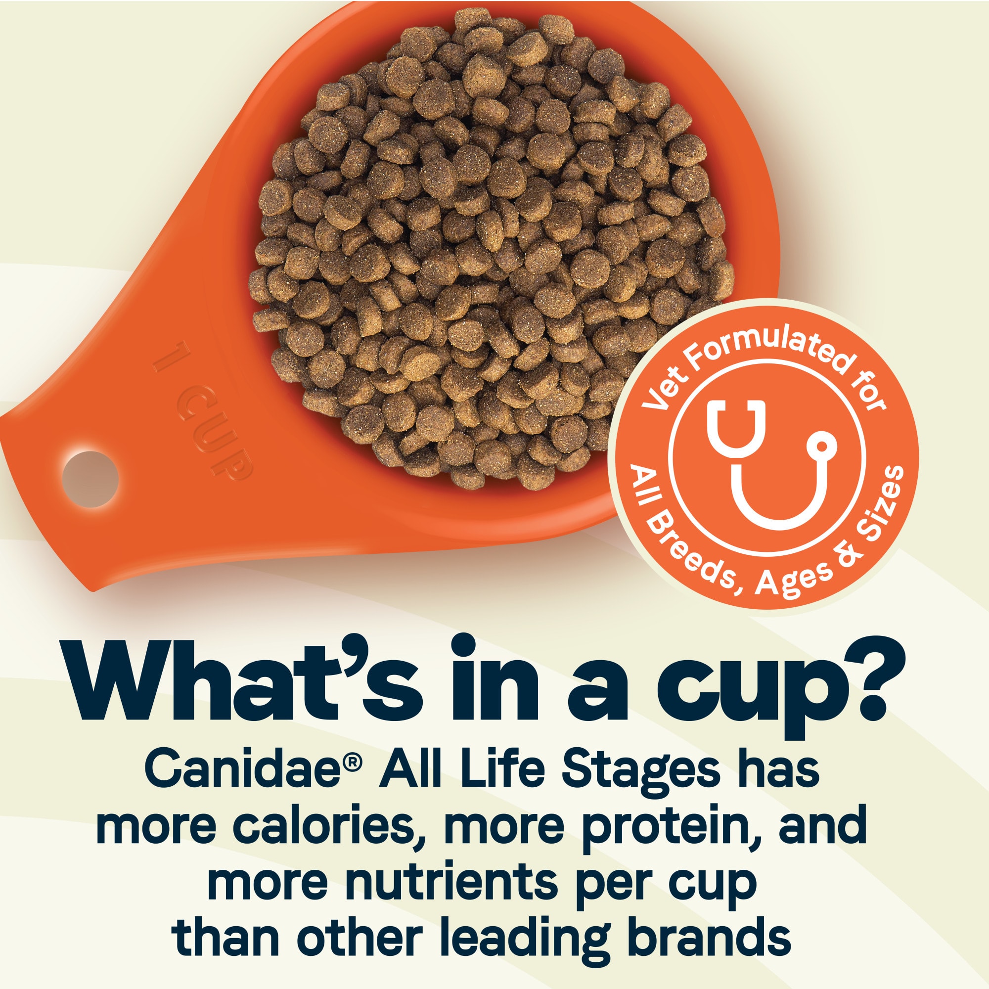 Canidae All Life Stages Lamb Meal Rice Formula Dry Dog Food 30