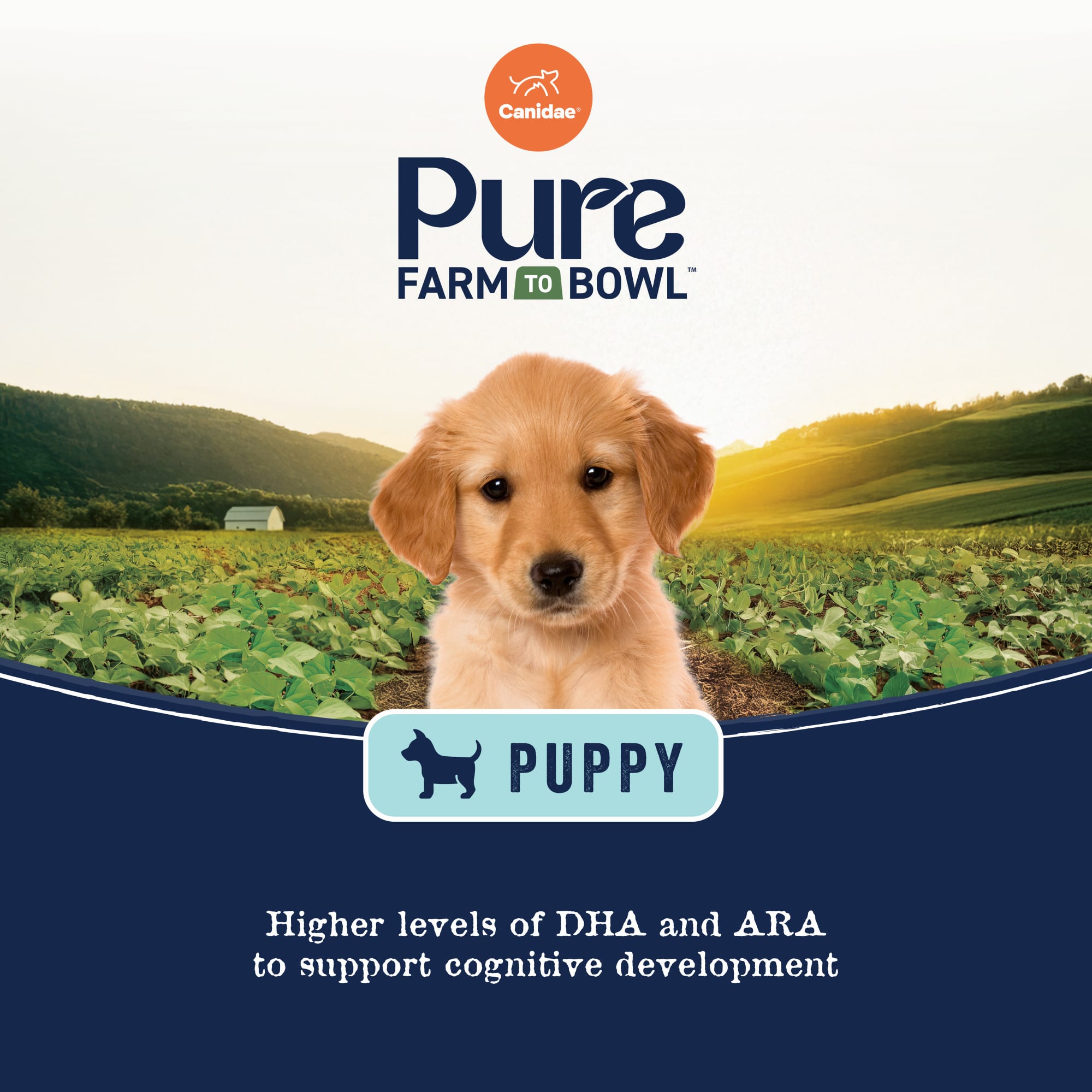 Canidae Pure Farm To Bowl Puppy Wild-Caught Salmon & Oatmeal