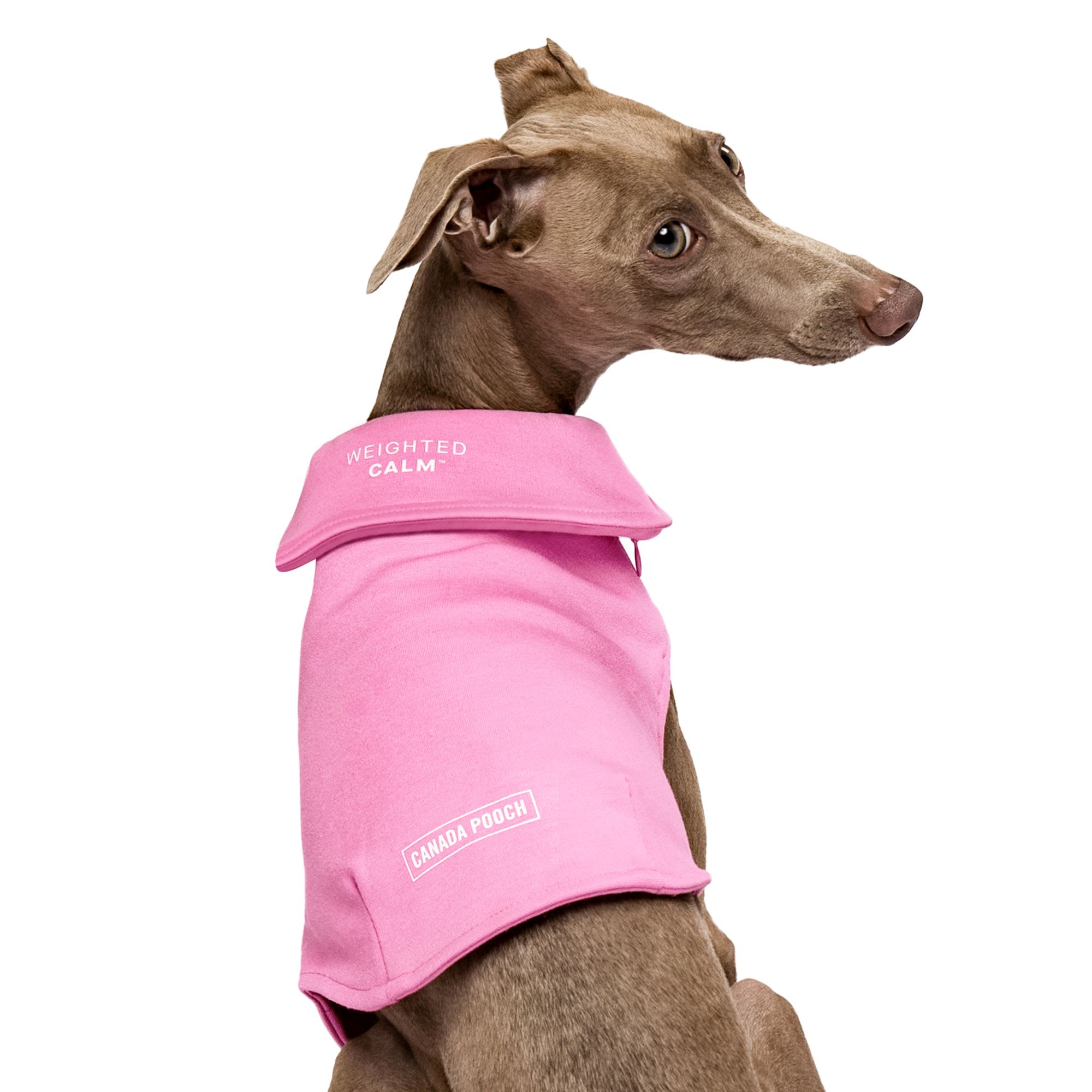 Canada Pooch Weighted Calming Dog Vest, Pink, Small Petco