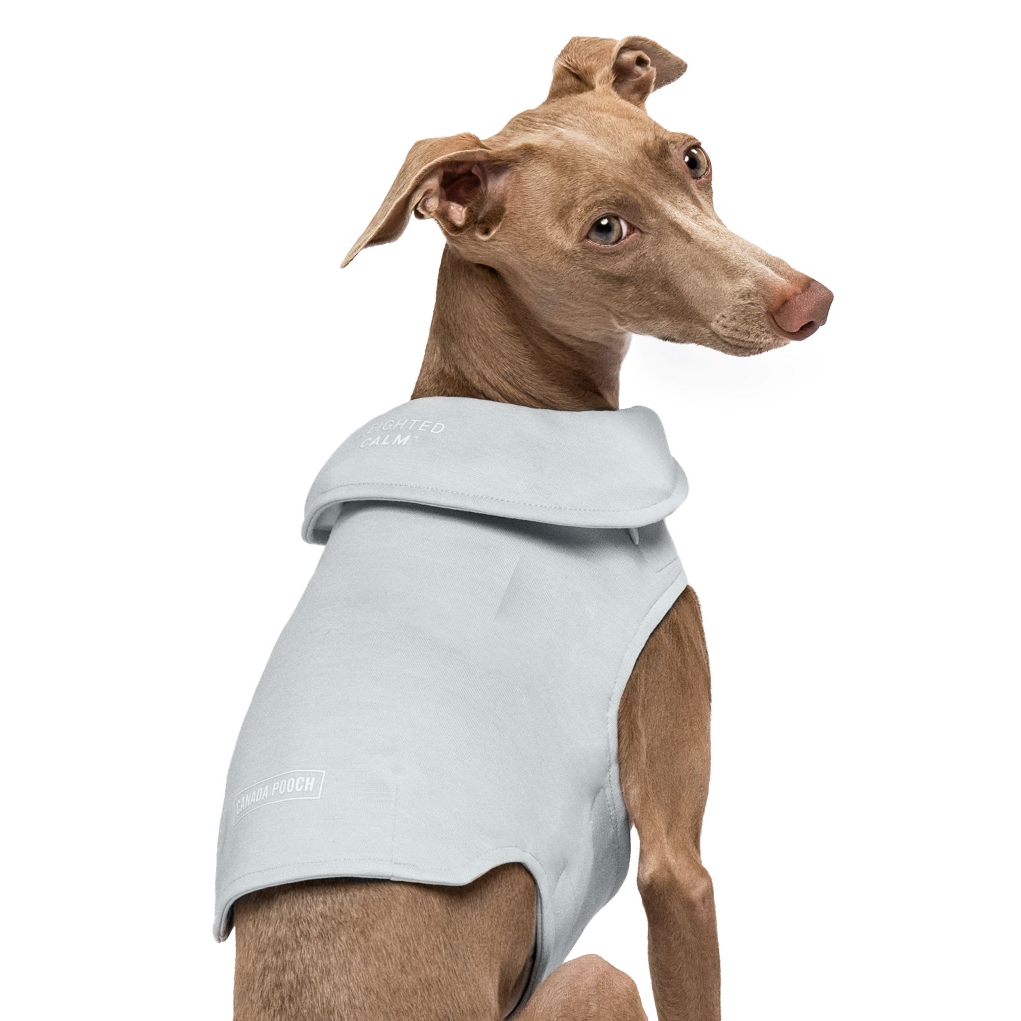 Emotional support 2025 dog vest petco