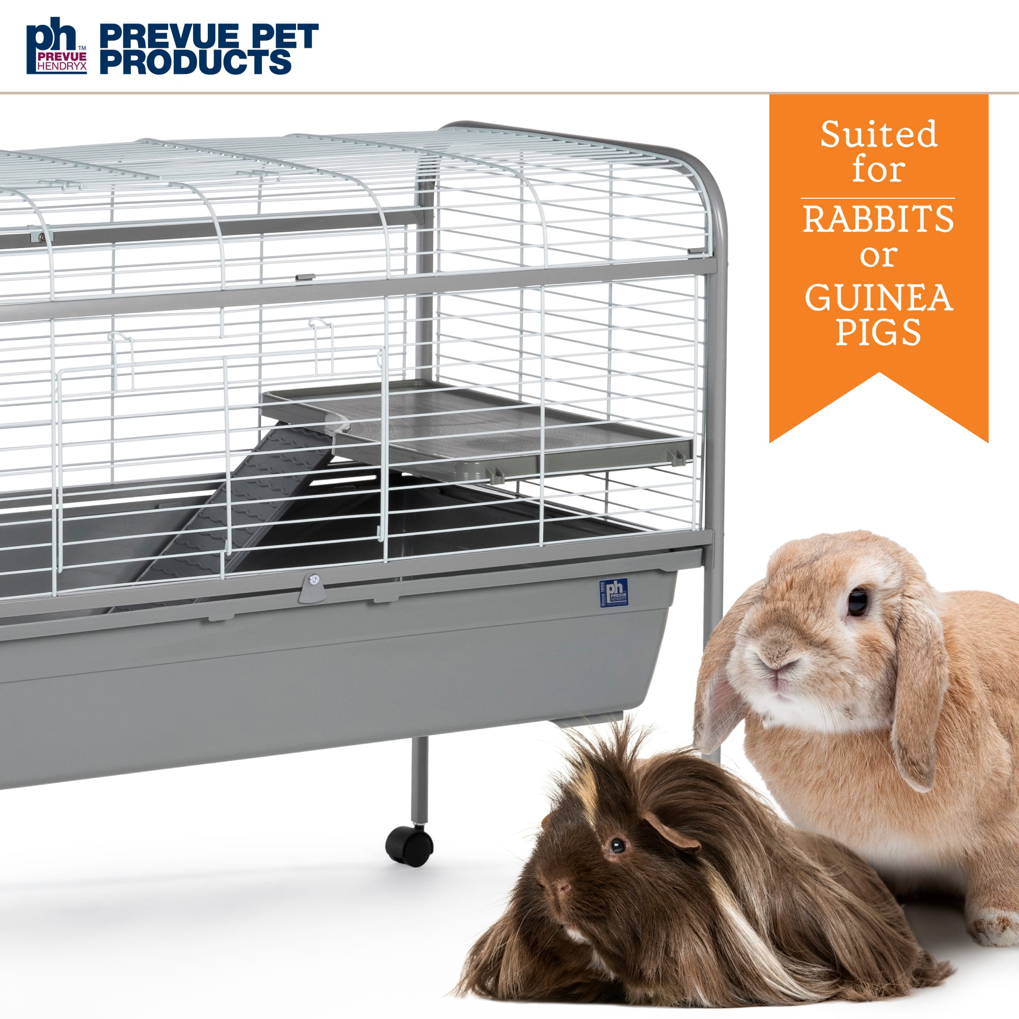 Petco guinea pig cage best sale