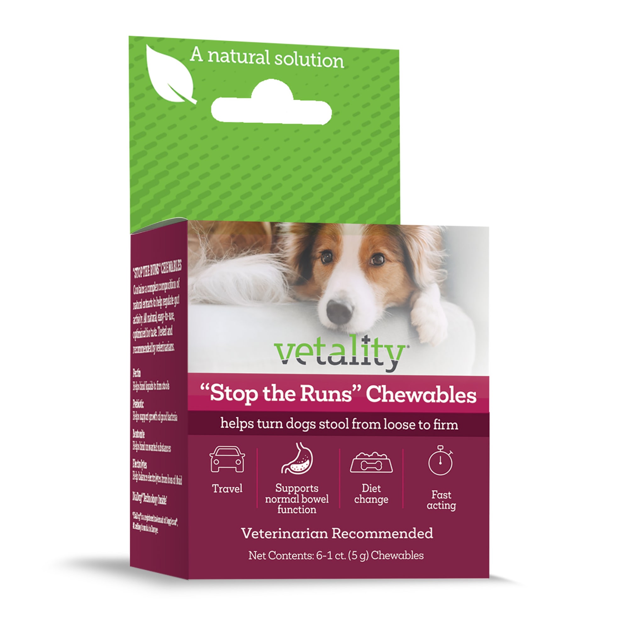 Canine anti diarrhea medicine best sale