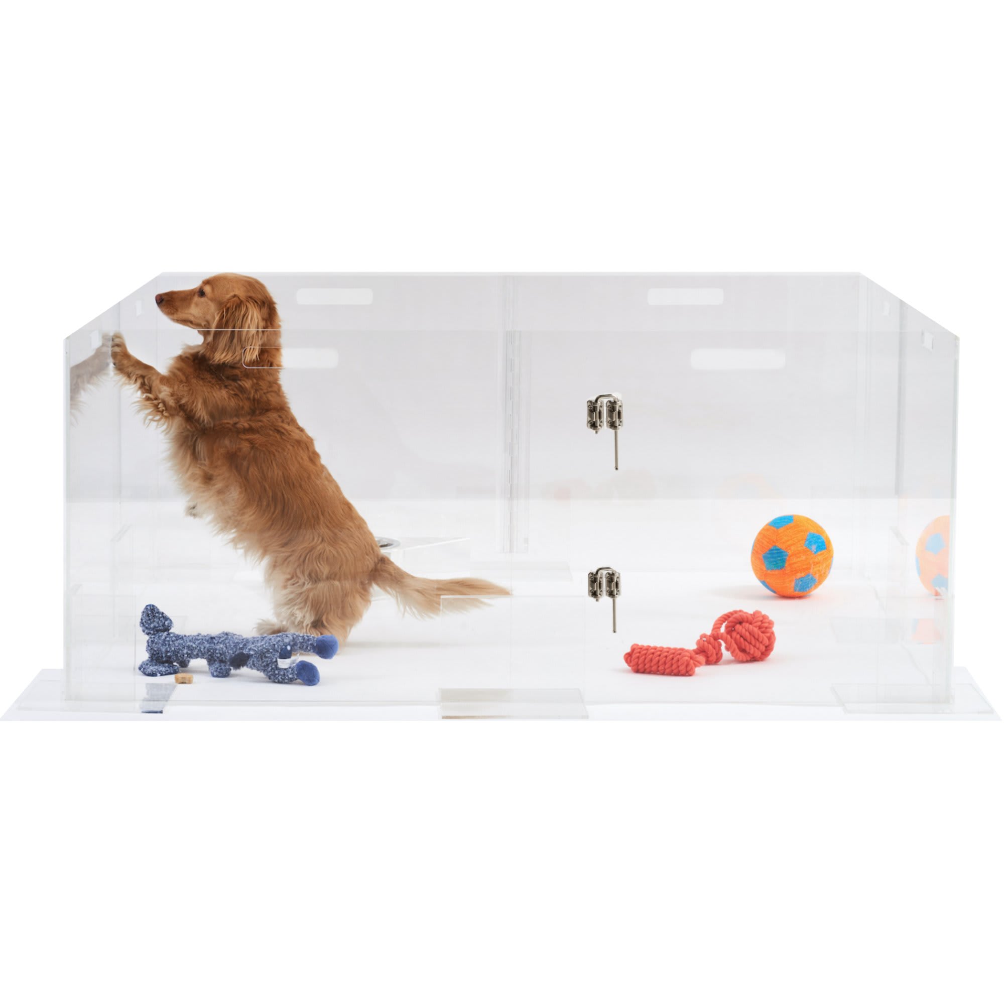 Hiddin Clear View Pet Playpen, 48" L X 48" W X 32" H Petco