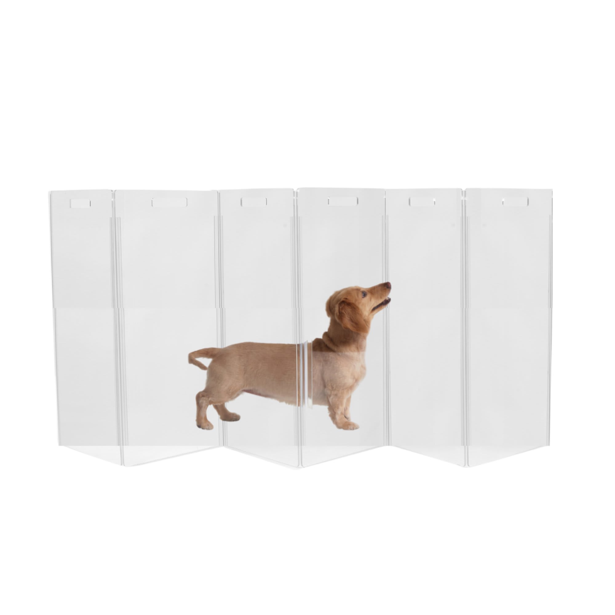 Hiddin Zig Zag Panel Clear Freestanding Pet Gate, 0.25" L X 90" W X 30