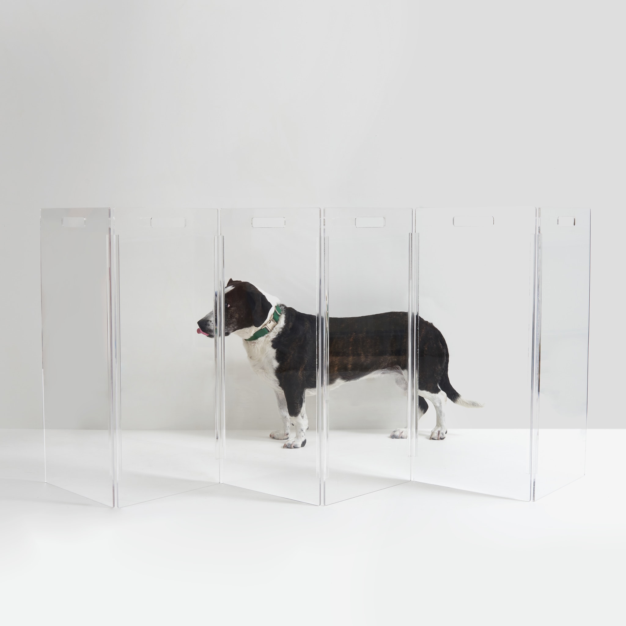 Best Indoor Pet Barrier of 2024 Petco