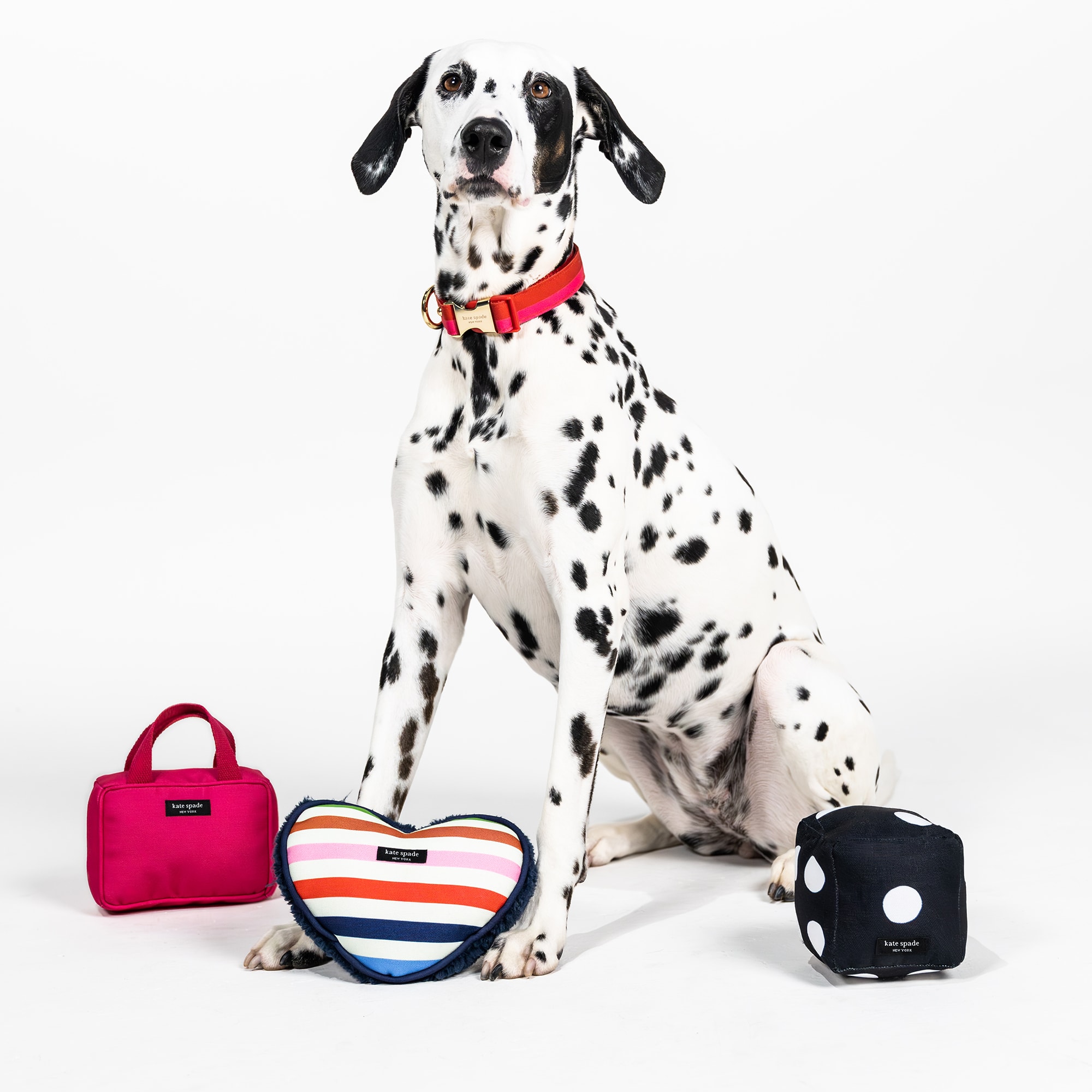 Kate Spade Dog Carrier Kate Spade New York Pink Handbag Chew Dog