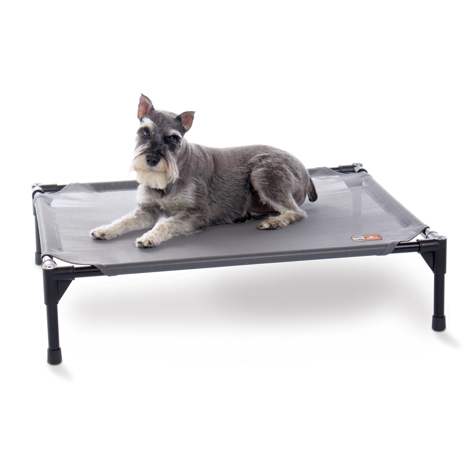 Petco raised shop dog bed