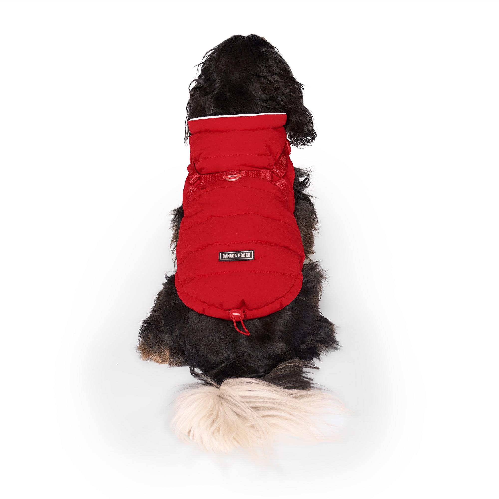 Canada Pooch Harness Puffer for Dogs, X-Small, Red | Petco