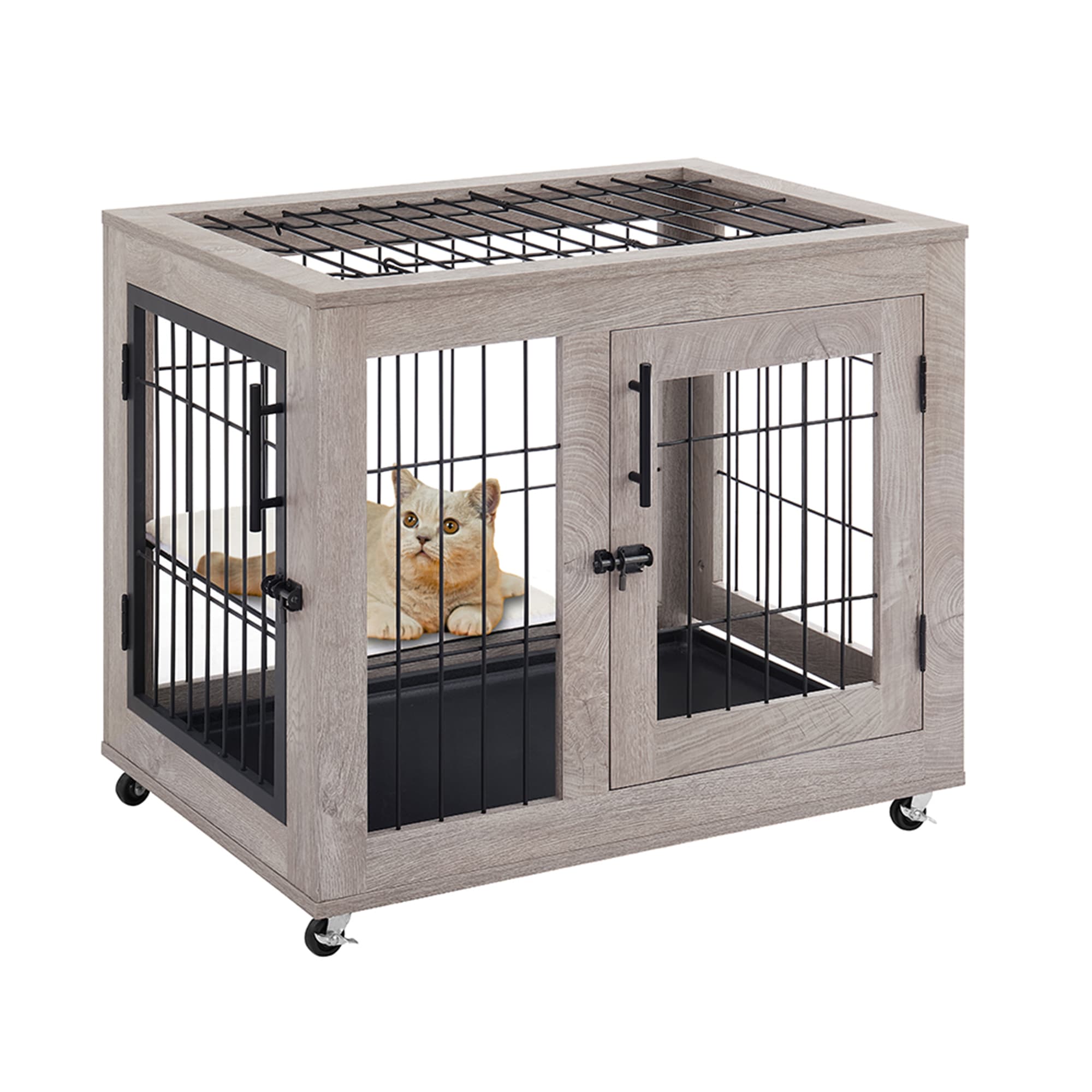 Cat on sale playpen petco