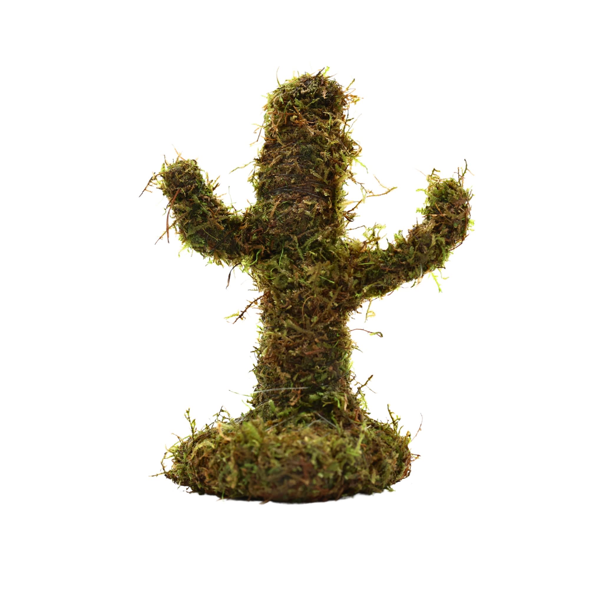 Mossy Cactus For Sale | Petco